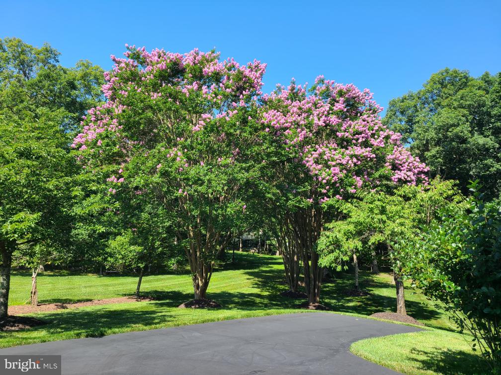 RIDINGS AT VIRGINIA RUN - Residential