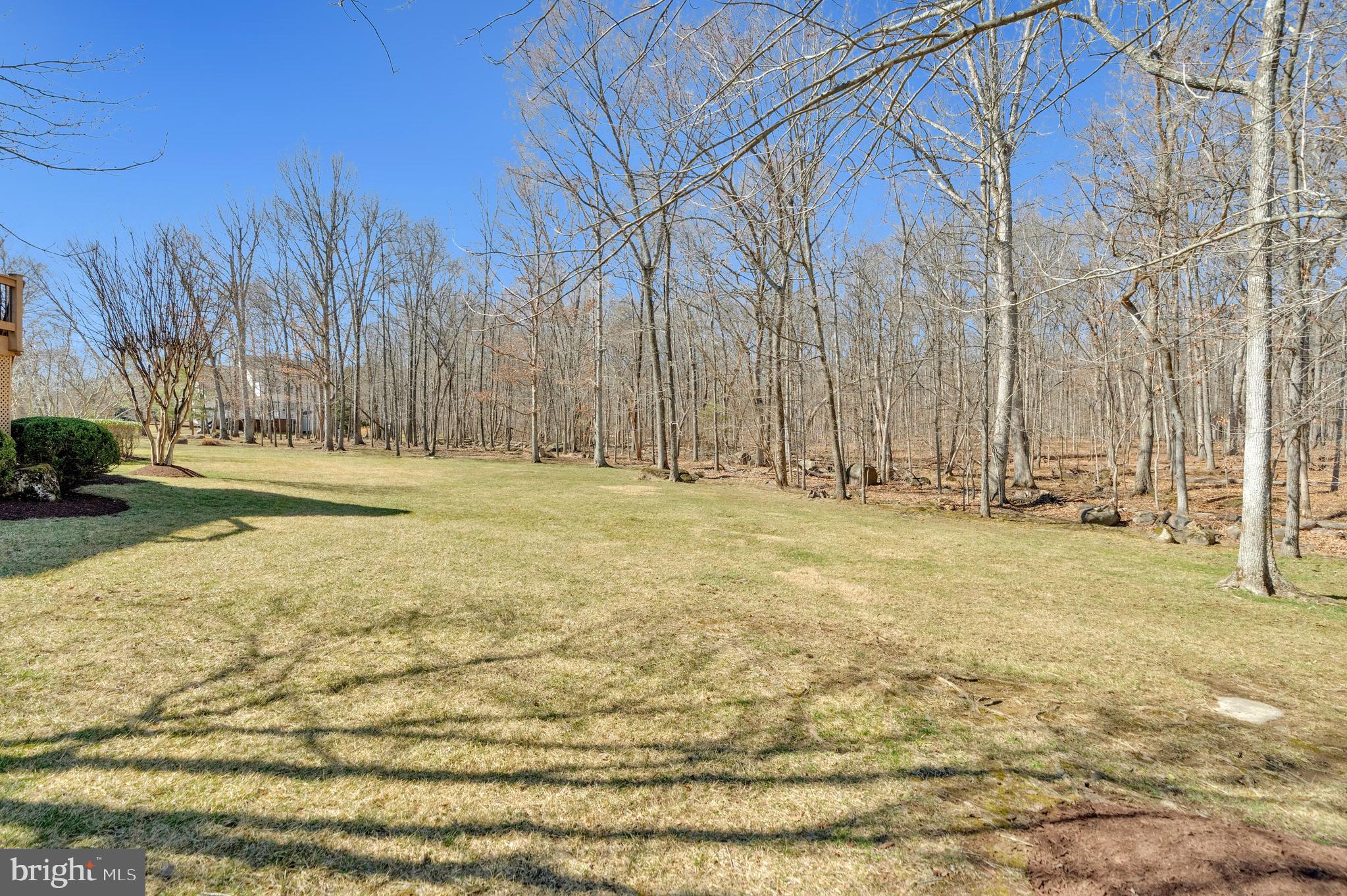 RIDINGS AT VIRGINIA RUN - Residential
