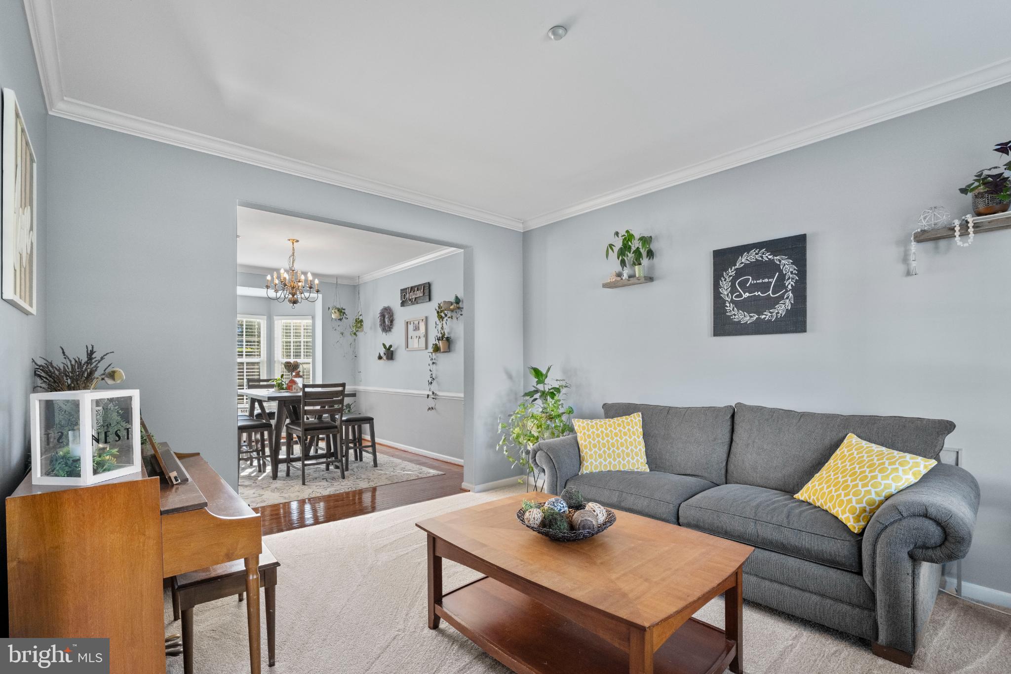 THE PADDOCKS AT BULLE ROCK - Residential