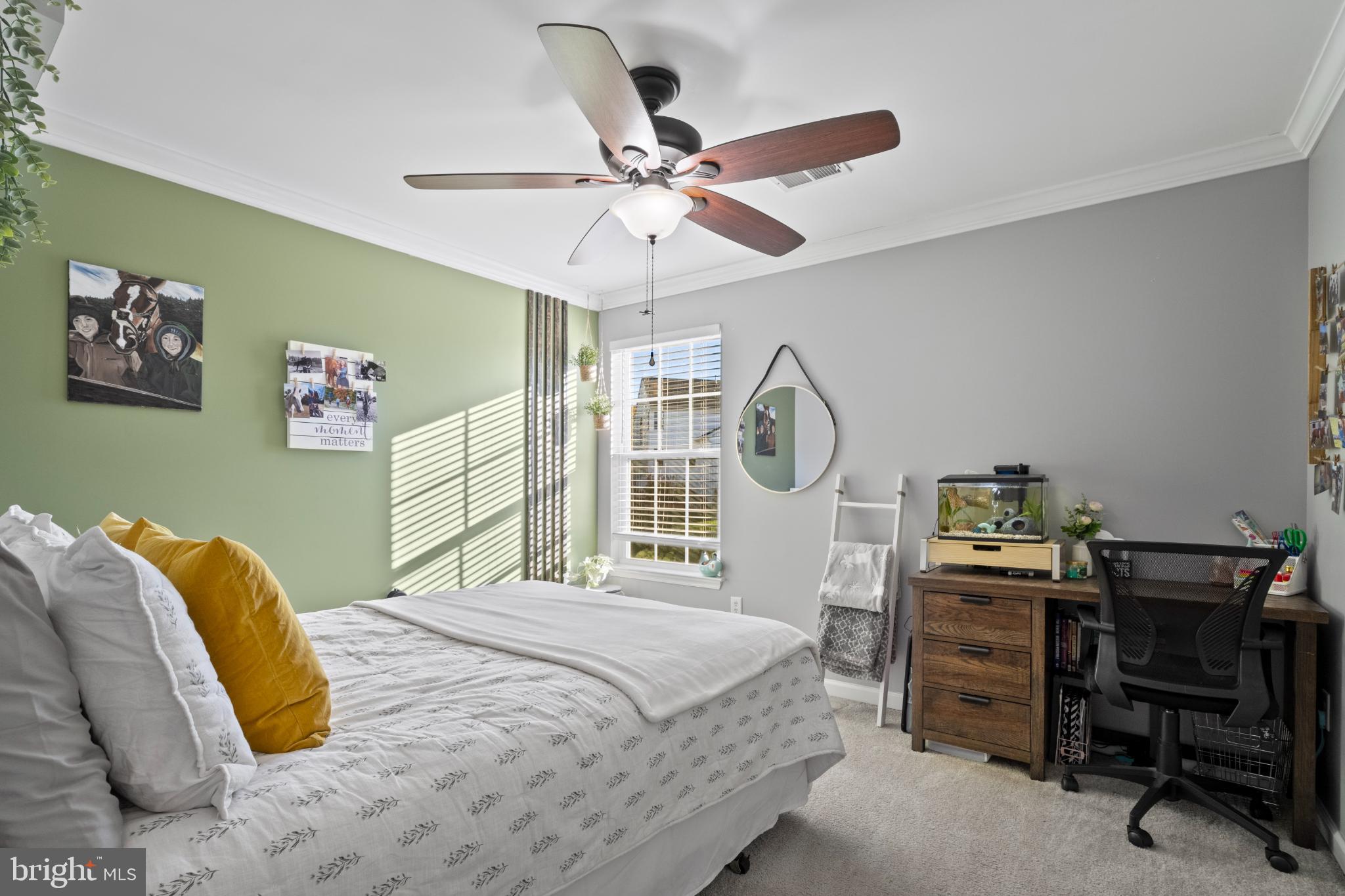 THE PADDOCKS AT BULLE ROCK - Residential