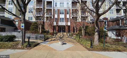 1641 INTERNATIONAL DRIVE 102 MCLEAN VA 22102