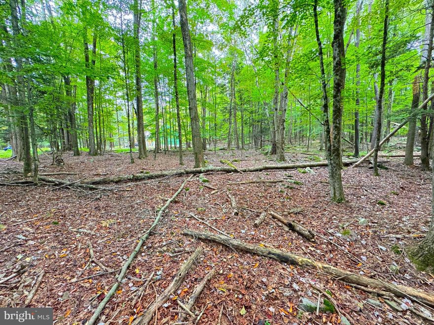 This .74 acre double lot in Indian rocks is a great place to build your future home.  Indian Rocks is a very clean and private community that has great amenities such as private access to Lake Wallenpaupack, the 2nd largest lake in PA. Some of the community amenities include a swimming pool, basketball tennis and volleyball court, playground, clubhouse with fitness center, rentable boat slips, private beach and boat launch onto the Lake, public water hook-ups, hiking trail, and more. HOA Fee for this double lot is 1530/year. A 1-time capital improvement fee of 437 per lot is paid to the community upon transfer to the new owner. Only single-family homes on foundations are allowed in communities - no RVs, trailers, campers, garages without a home, anything on a slab, etc.   This is a very quiet section of the community. This property was approved for a perc test by the local sewage enforcement officer.   Owner is licensed PA/NJ realtor.