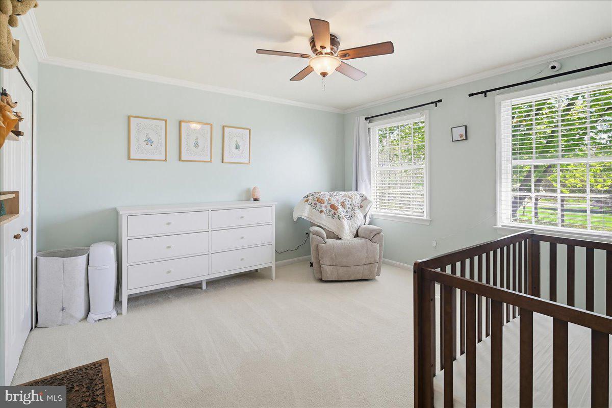 MILLERS - Residential