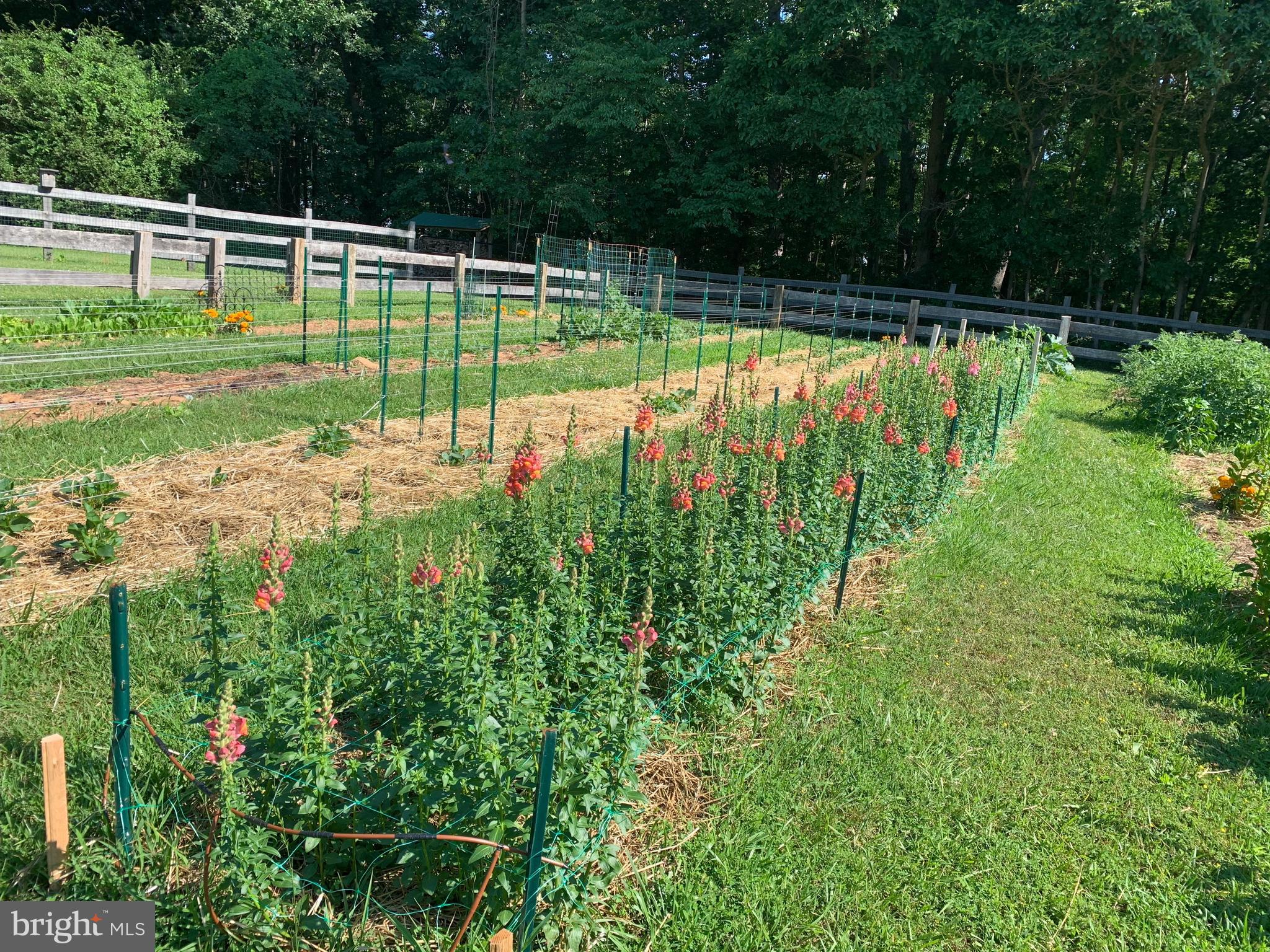 20128 GUNPOWDER ROAD