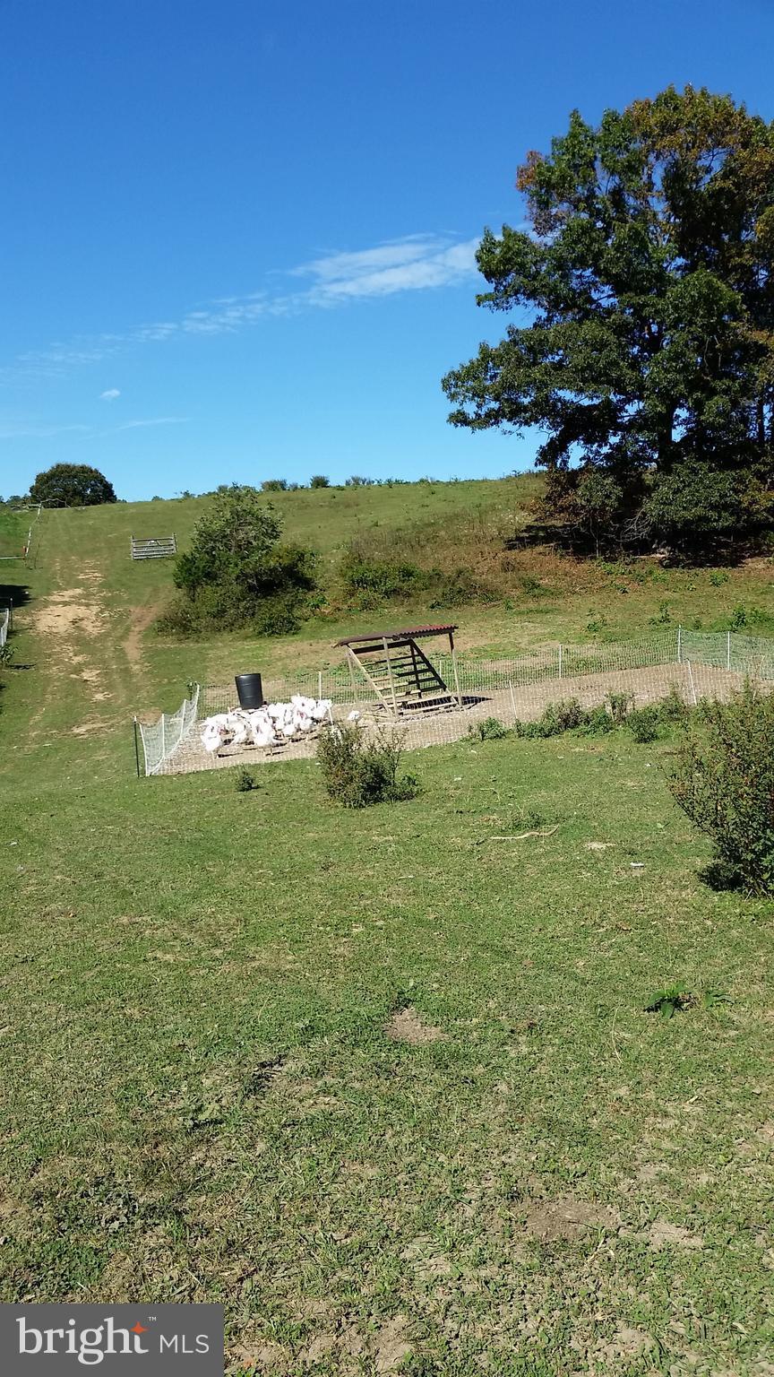 NONE AVAILABLE - Farm