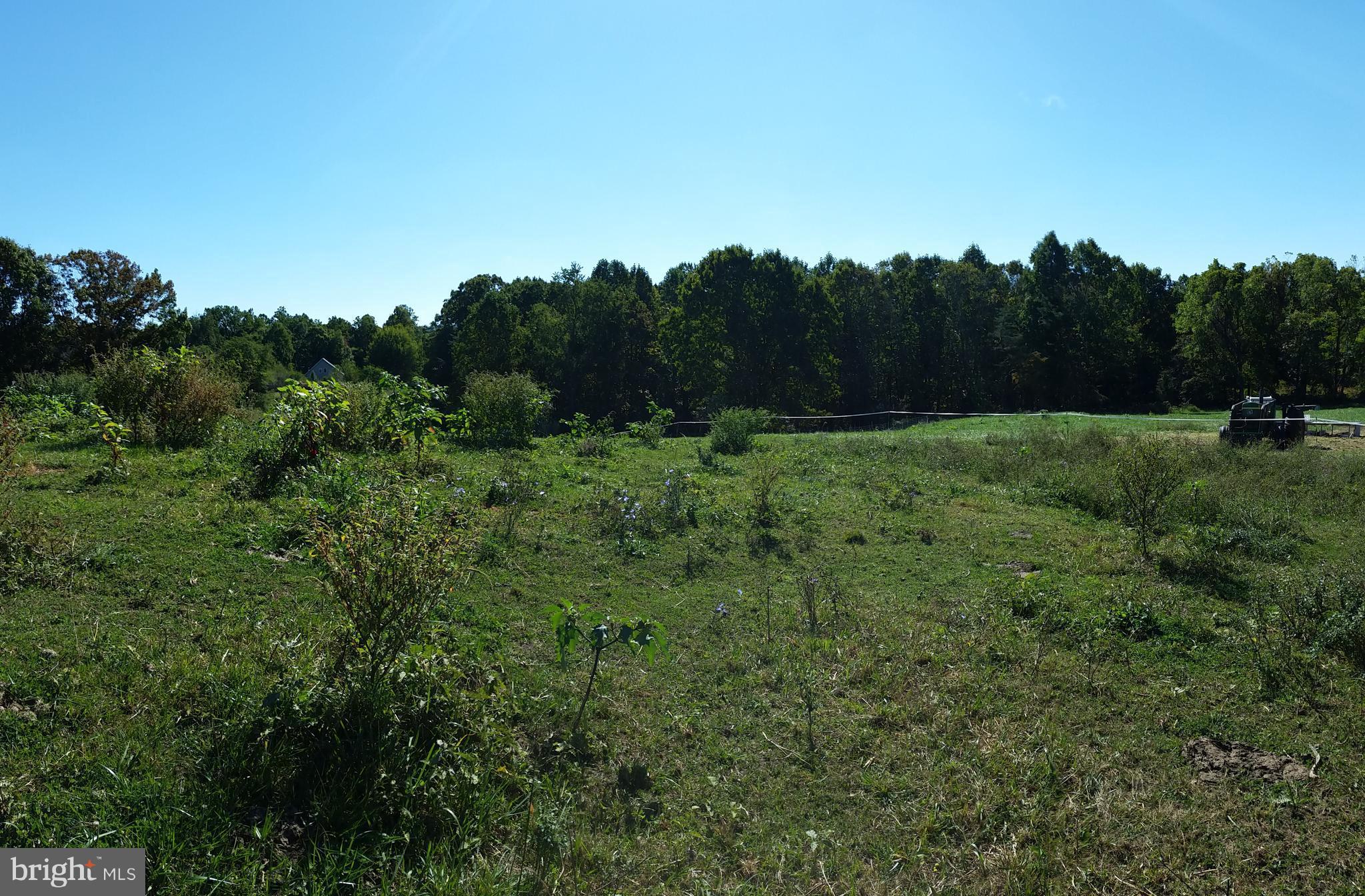 NONE AVAILABLE - Farm