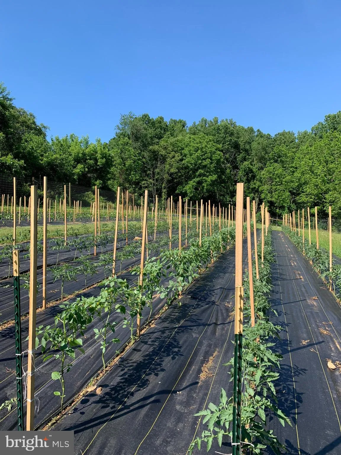 Coatesville, Pennsylvania 19320, United States, 3 Bedrooms Bedrooms, ,2 BathroomsBathrooms,Residential,Coming Soon,229209