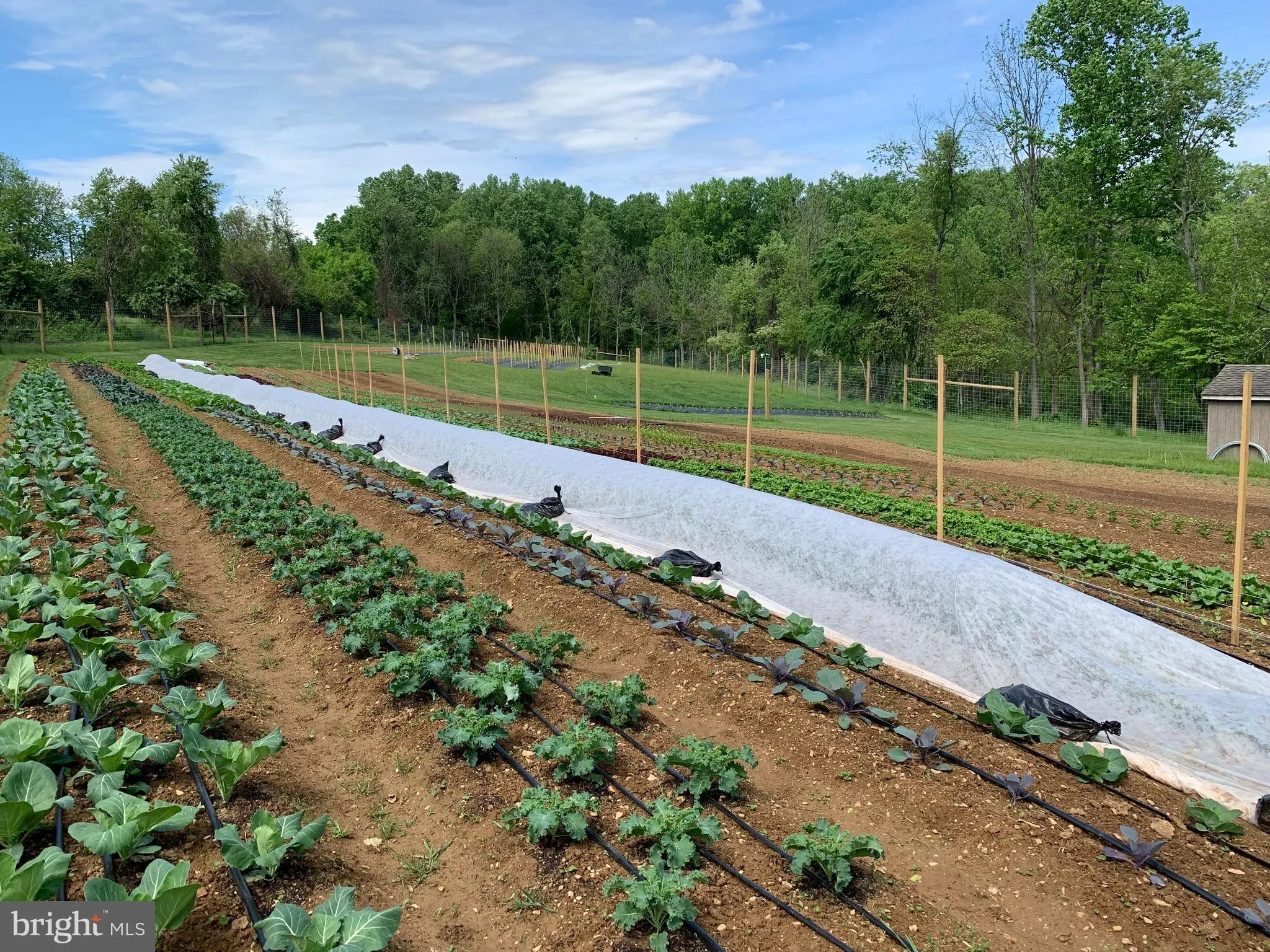 Coatesville, Pennsylvania 19320, United States, 3 Bedrooms Bedrooms, ,2 BathroomsBathrooms,Residential,Coming Soon,229209