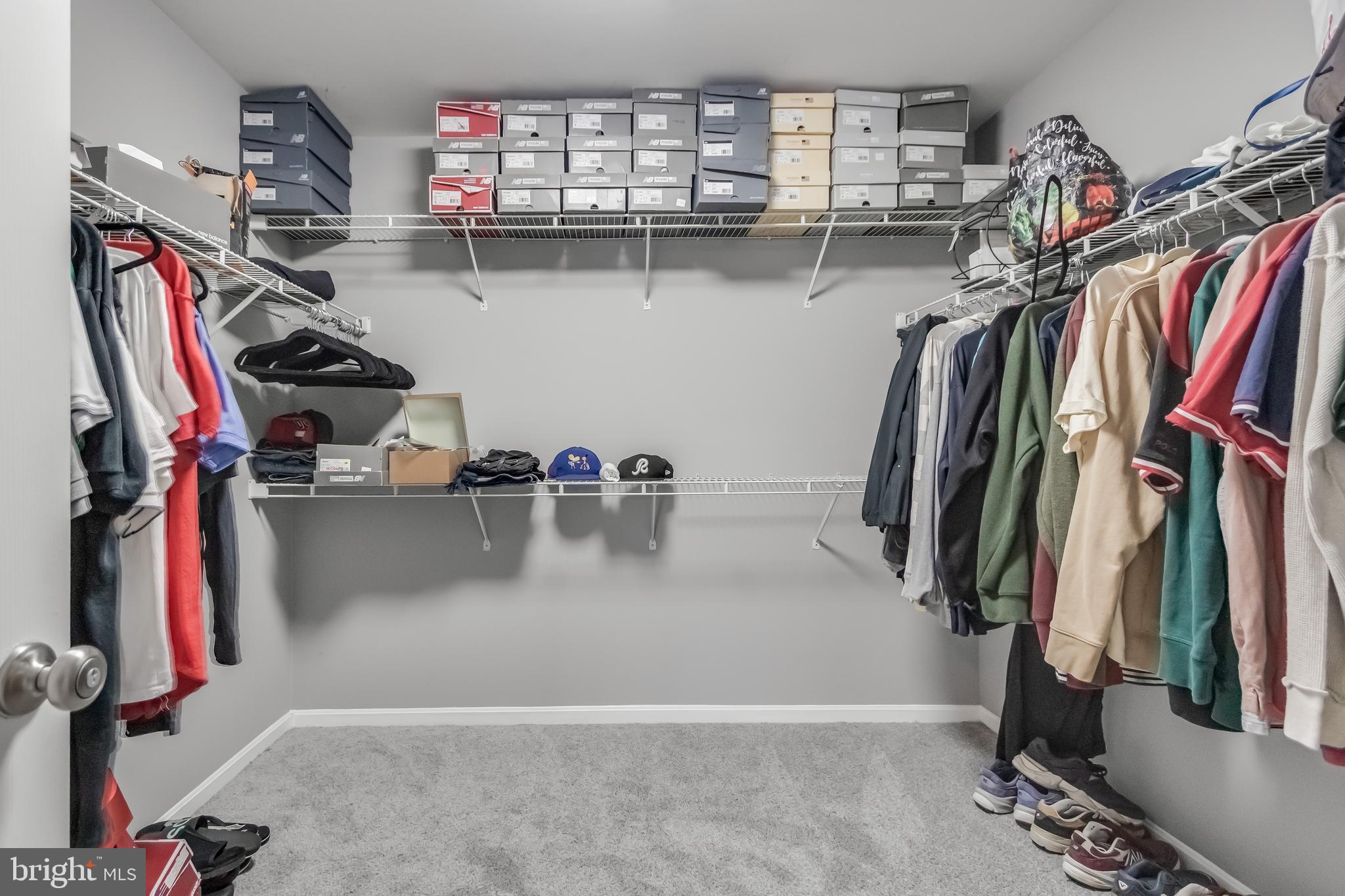 CHELTENHAM WOODS - Residential