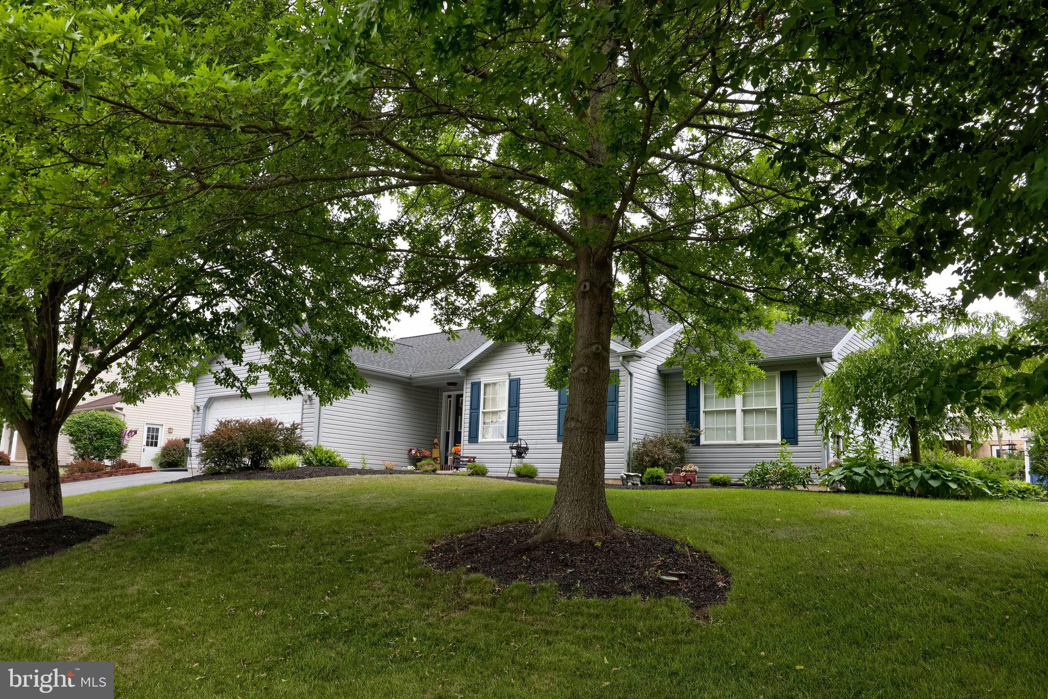 20 ROSEMONT DRIVE