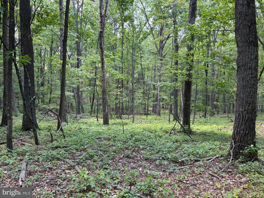 This is the kind of mountain property that makes sense. Easy to get to, easy to use, and tucked into a part of Hampshire County where the woods still feel like woods. Located in Short Mountain Village Estates near Augusta, West Virginia, this 2.01-acre wooded tract offers nice usable topography, towering oak hardwoods, and electricity near the property boundary for a much easier setup when the time comes. Whether you are looking for a future cabin site, a small hunting camp, a weekend getaway, or just a quiet place to own in the mountains, this property gives you a solid starting point. The location is a big part of the appeal. You are less than an hour from the I-81 corridor and under two hours from Washington, D.C., making this a realistic weekend escape without spending your whole trip behind the wheel. Outdoor recreation is close by, too. Short Mountain Wildlife Management Area is nearby, offering nearly 8,000 acres of public hunting and outdoor ground. Even better, there is access to Short Mountain from within Short Mountain Village Estates itself,  giving owners convenient access to the kind of mountain terrain, wildlife, and recreational opportunity that make this area so appealing. Deer, turkey, bear, and small game are all common in this part of the county. Good land does not have to be complicated. This is a clean, manageable wooded tract with strong trees, good topography, nearby electric, and a location that works. If you have been looking for an affordable foothold in the mountains of West Virginia, this one deserves a look.