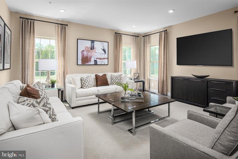 BLUE RIDGE PARK - Residential