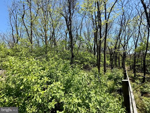 PAGE BROOK LANE BOYCE VA 22620