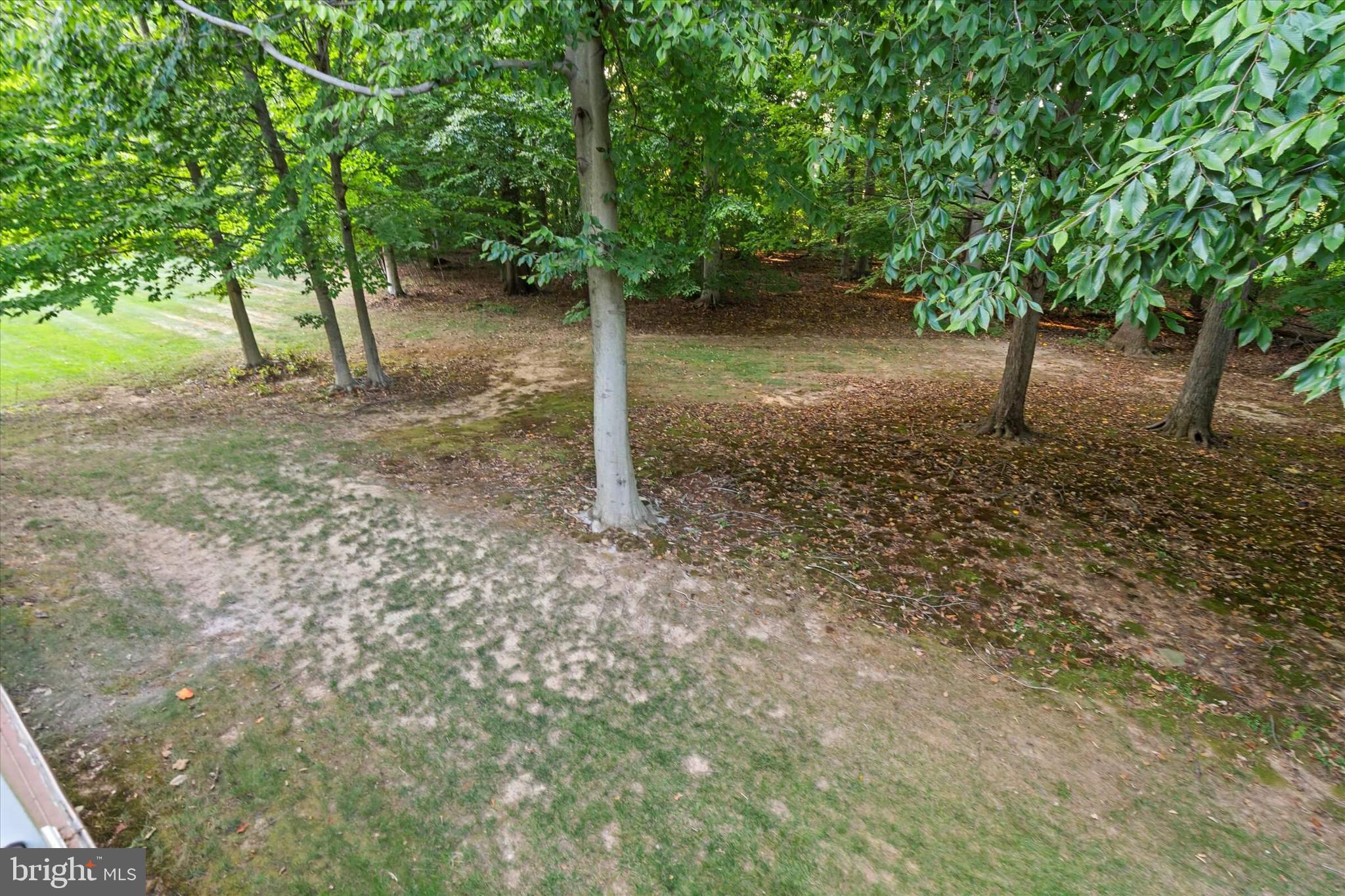 ARBORLEA - Residential