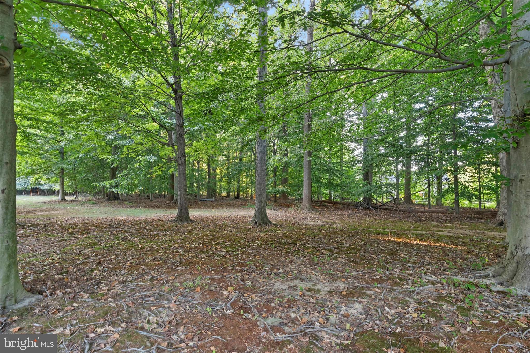 ARBORLEA - Residential