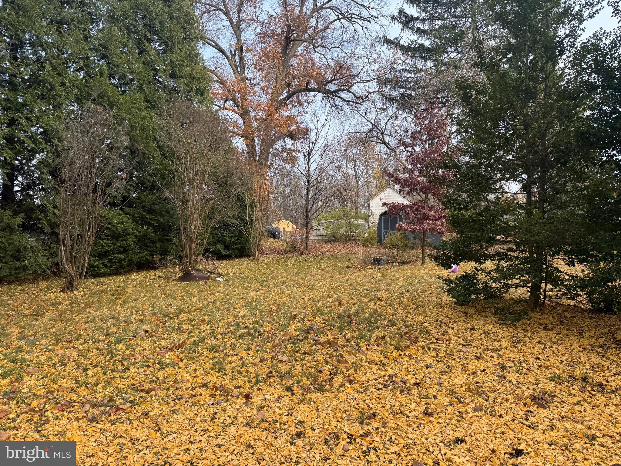 NONE AVAILABLE - Commercial Sale