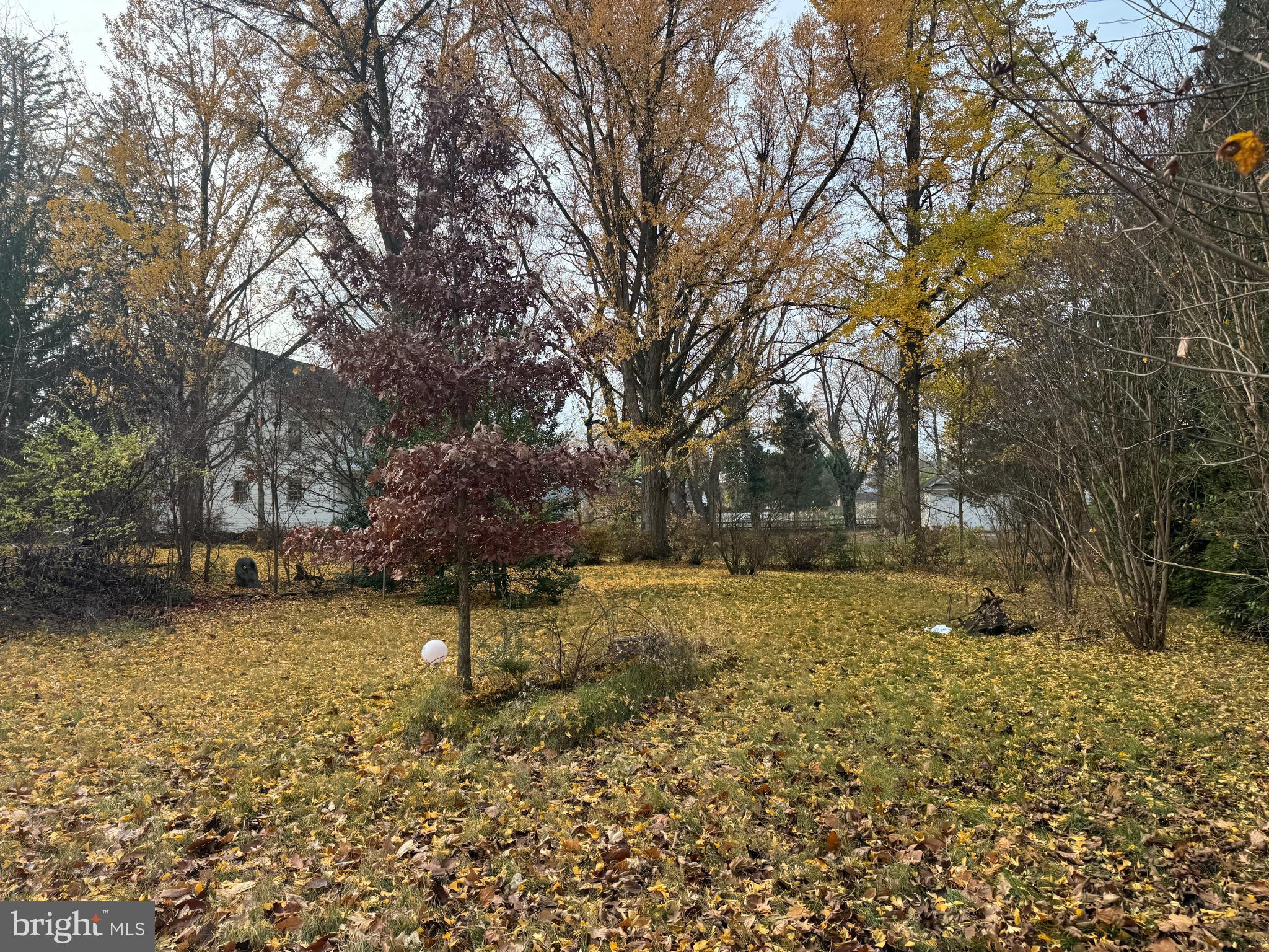 NONE AVAILABLE - Commercial Sale