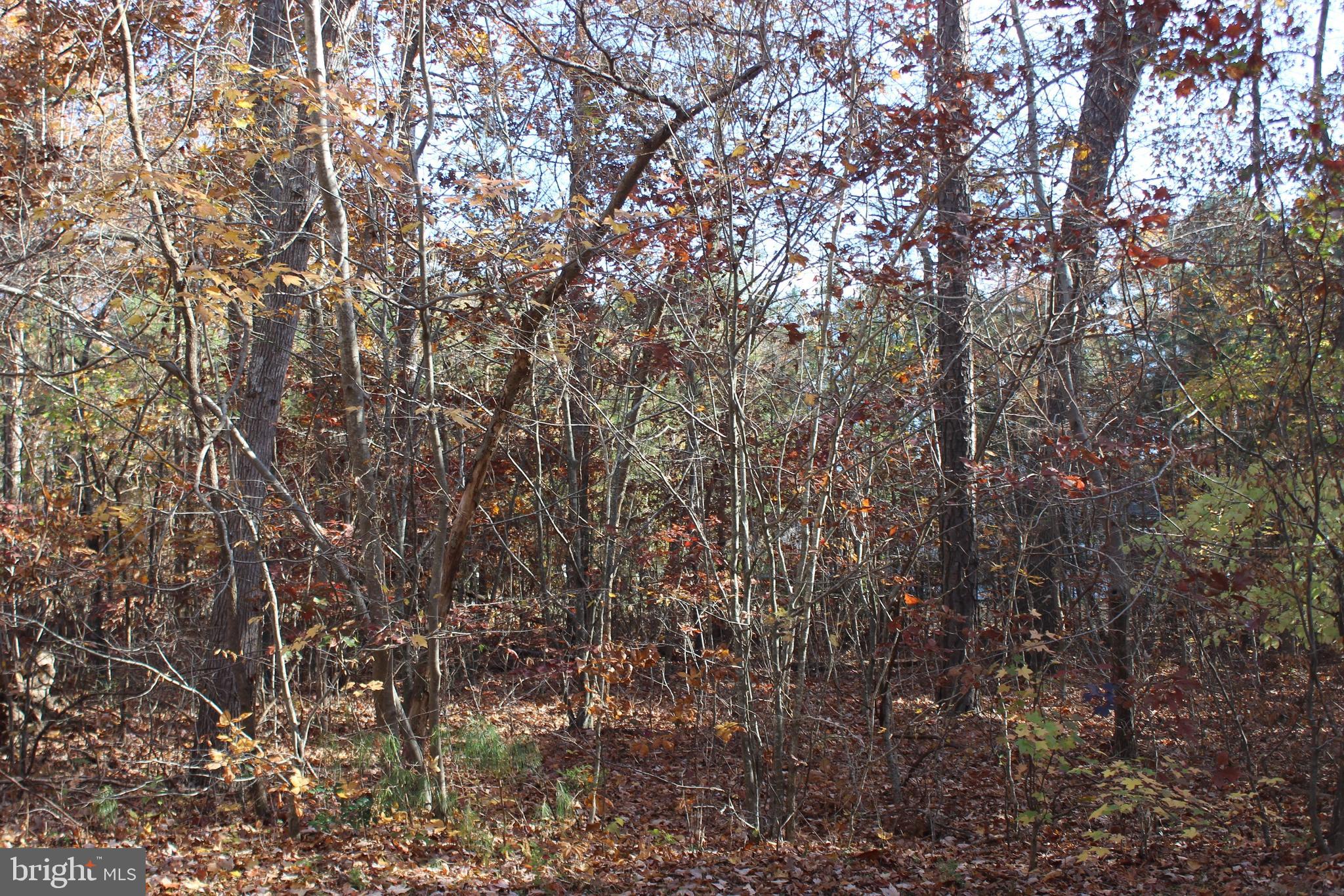 CAPTAIN'S COVE - Land