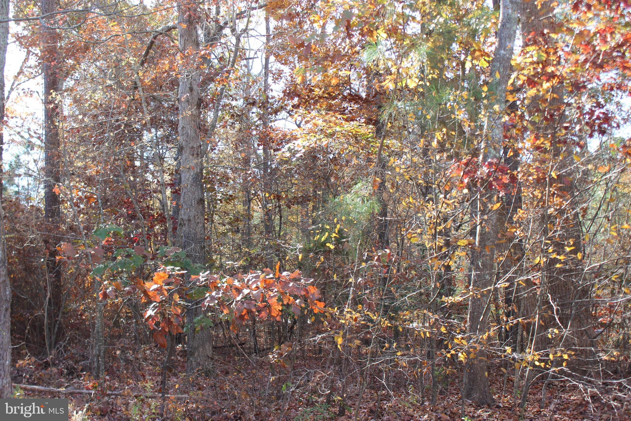 CAPTAIN'S COVE - Land