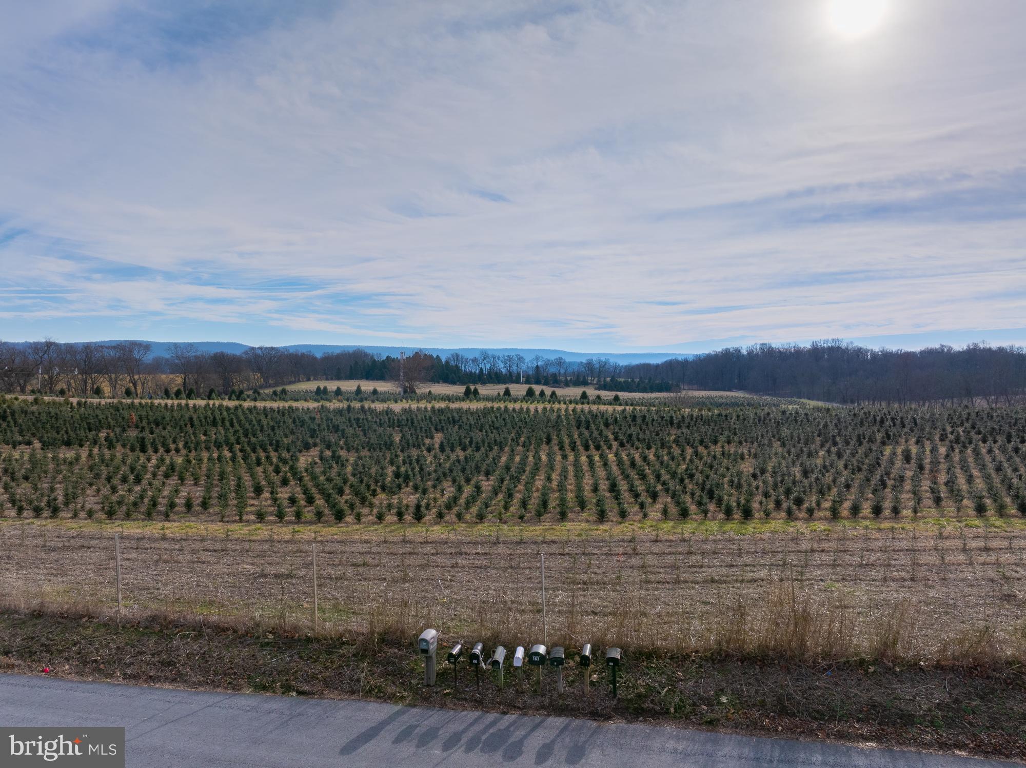 Exceptional 32.1 acres . Desirable location, level land, mountain views, extensive road frontage on River Road, Shepherdstown, WV
Property is subject to a leased Christmas tree farm