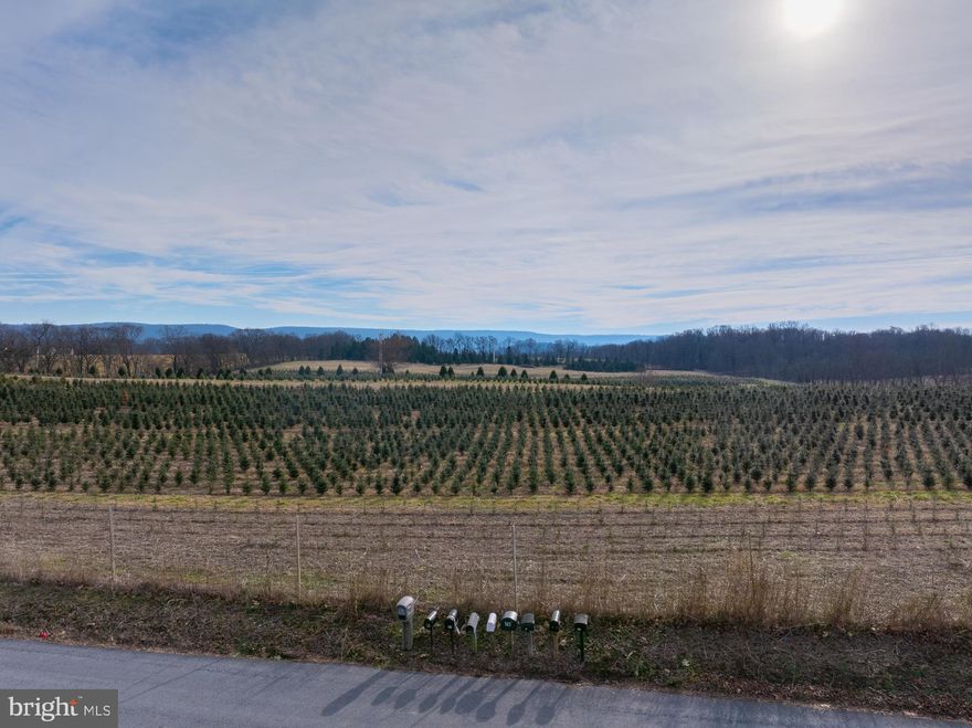 Exceptional 32.1 acres .  Desirable location, level land, mountain views,  extensive road frontage on River Road, Shepherdstown, WV
Property is subject to a  leased  Christmas tree farm