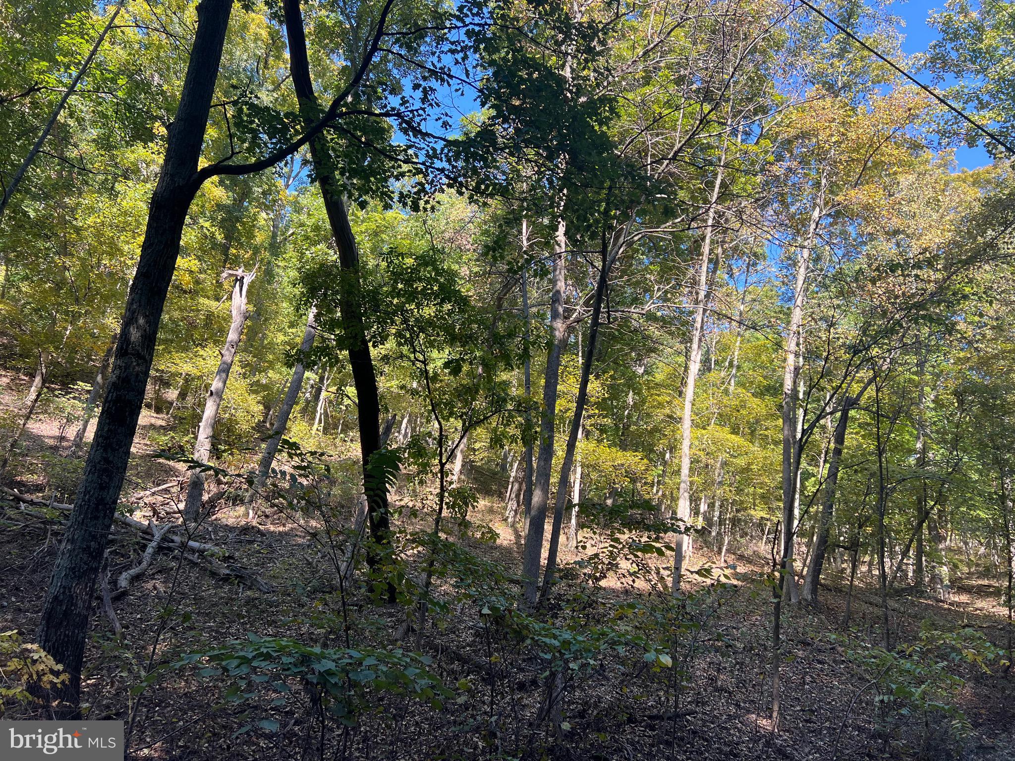 OLD FIELDS OWNERS ASSOCIATION - Residential