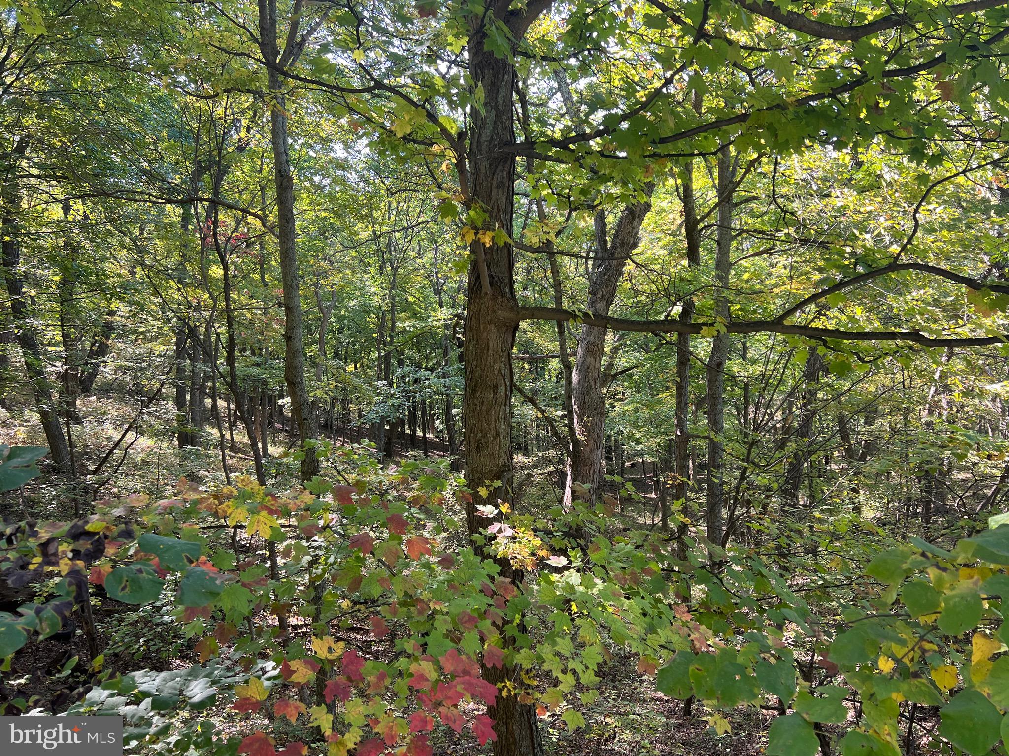 OLD FIELDS OWNERS ASSOCIATION - Residential