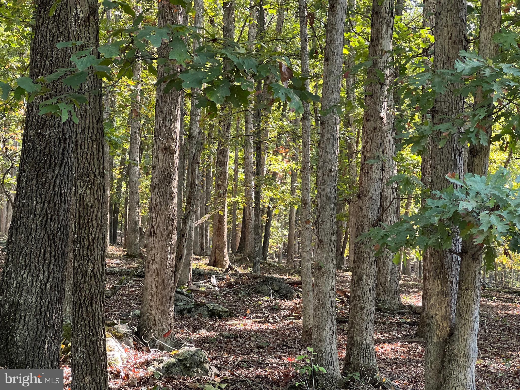 OLD FIELDS OWNERS ASSOCIATION - Residential