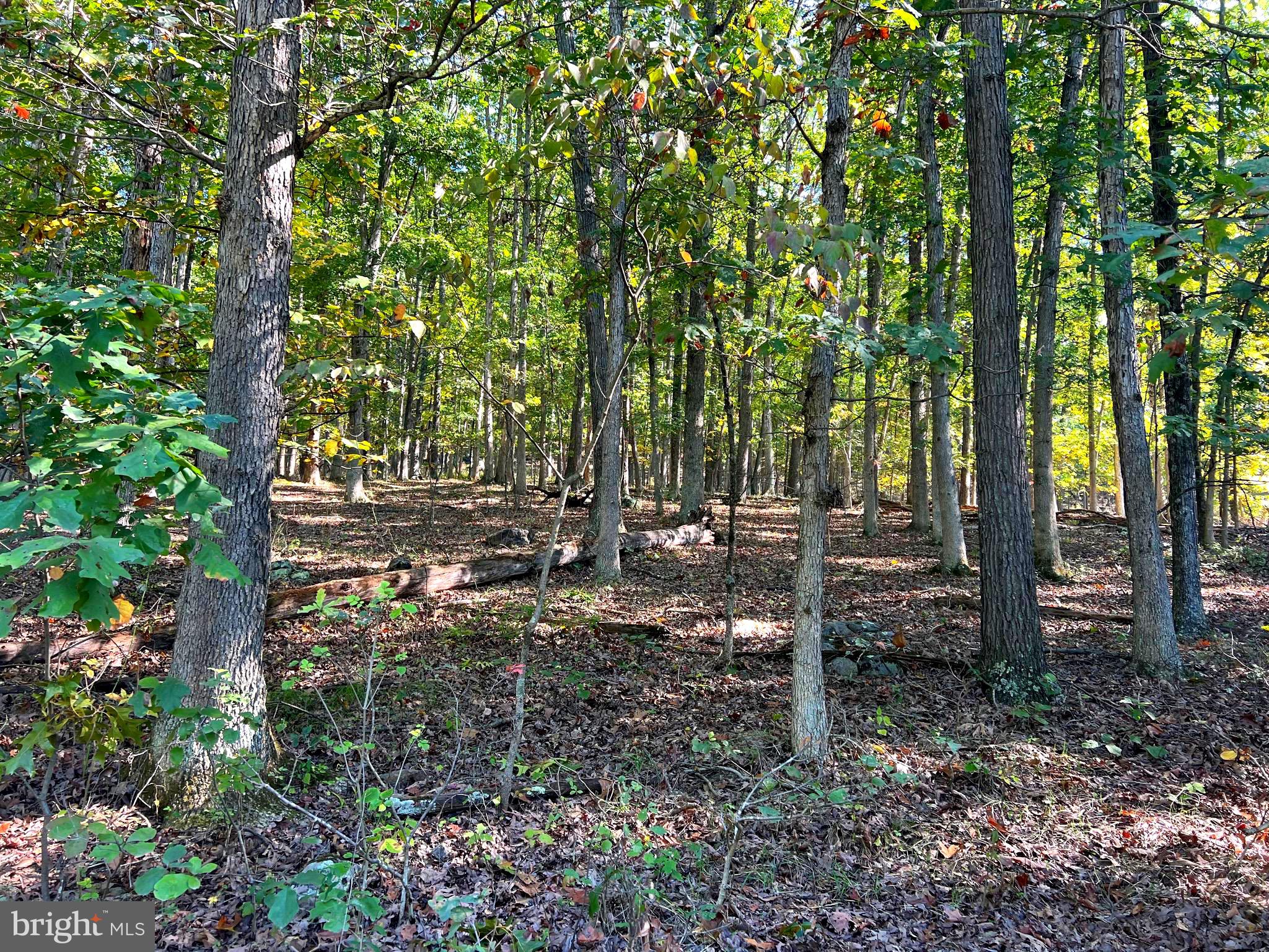 OLD FIELDS OWNERS ASSOCIATION - Residential