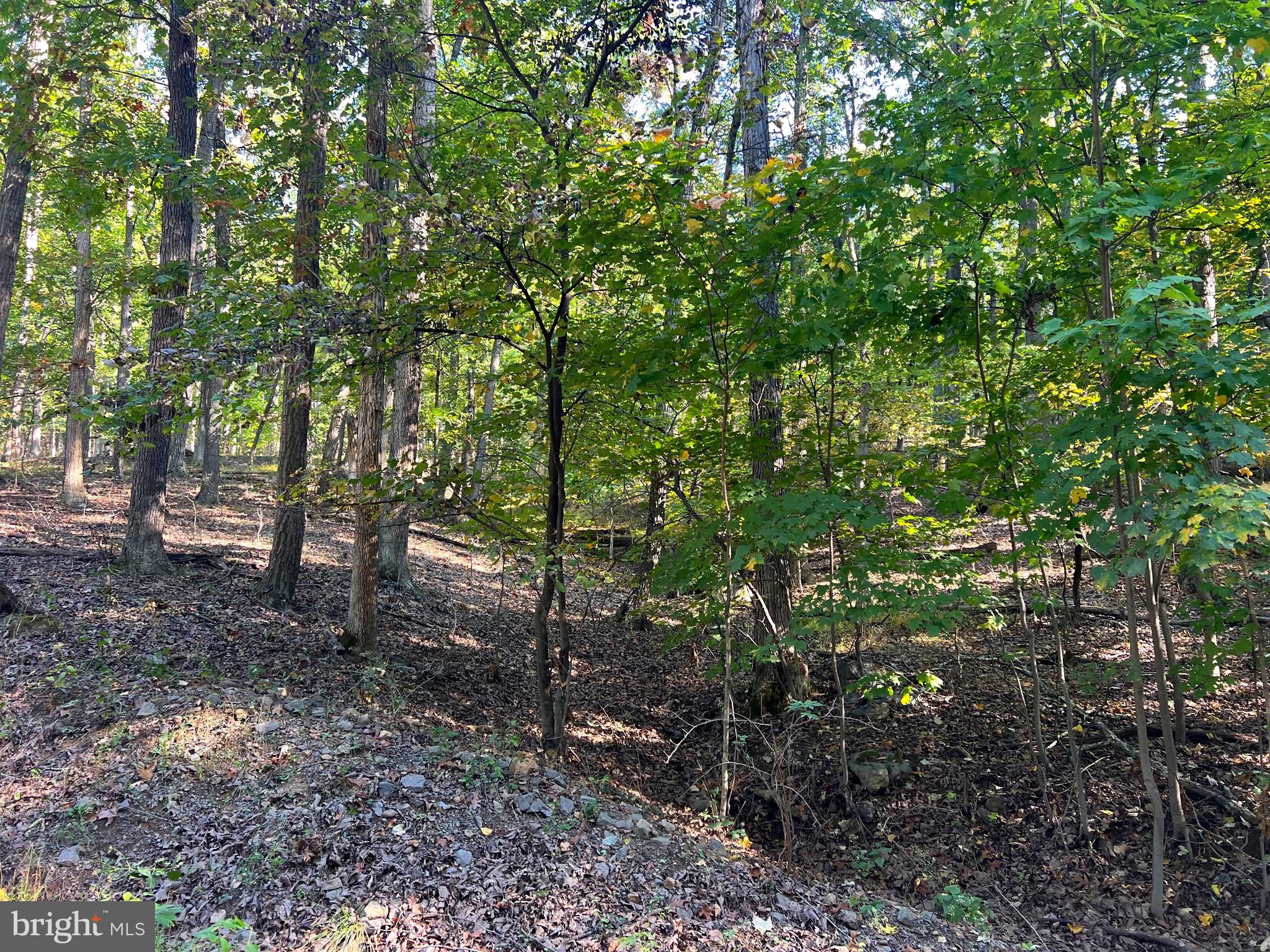 OLD FIELDS OWNERS ASSOCIATION - Residential