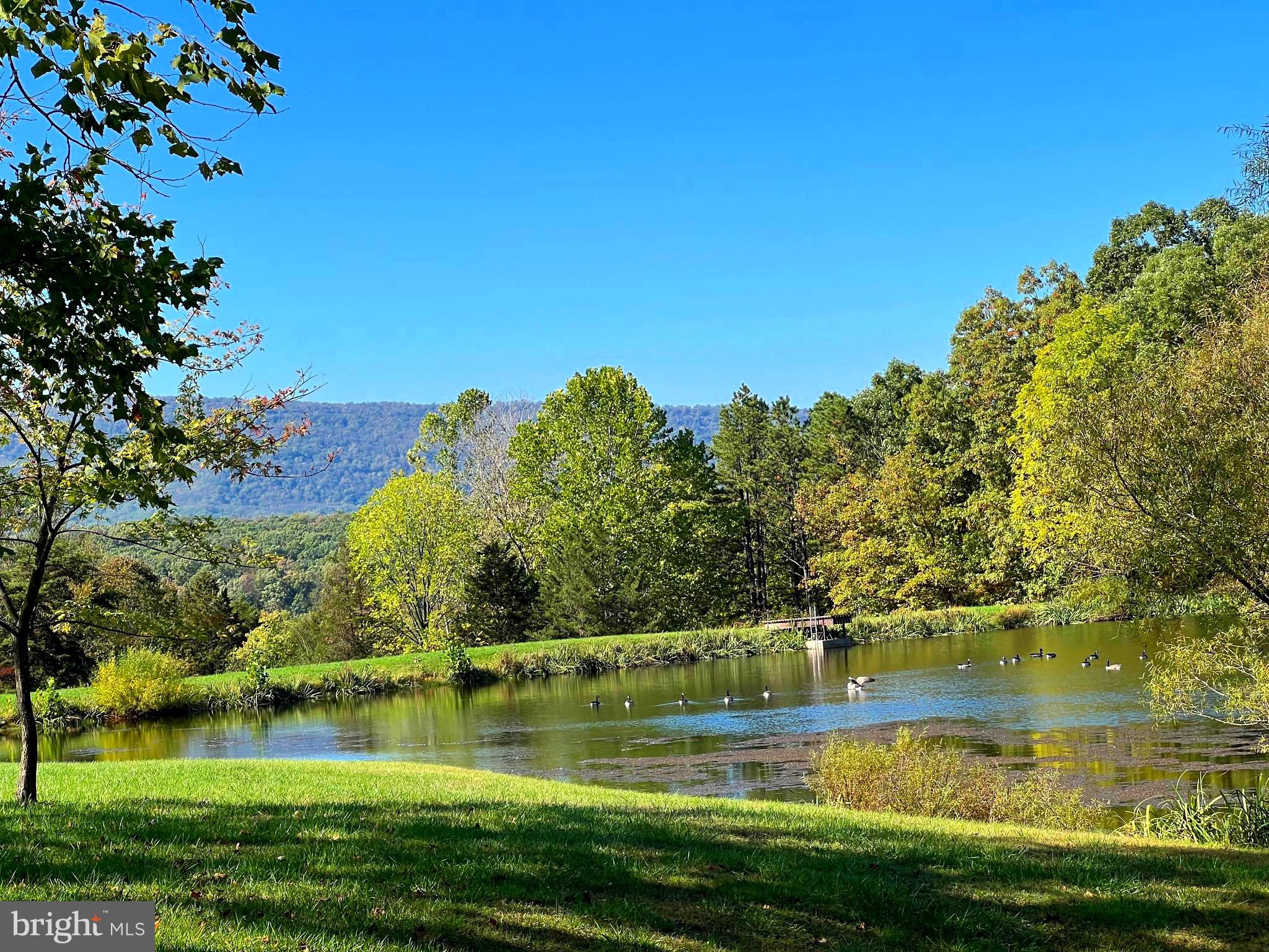 OLD FIELDS OWNERS ASSOCIATION - Residential