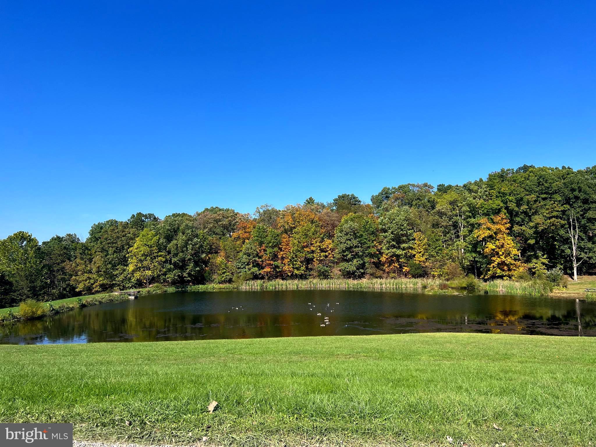 OLD FIELDS OWNERS ASSOCIATION - Residential