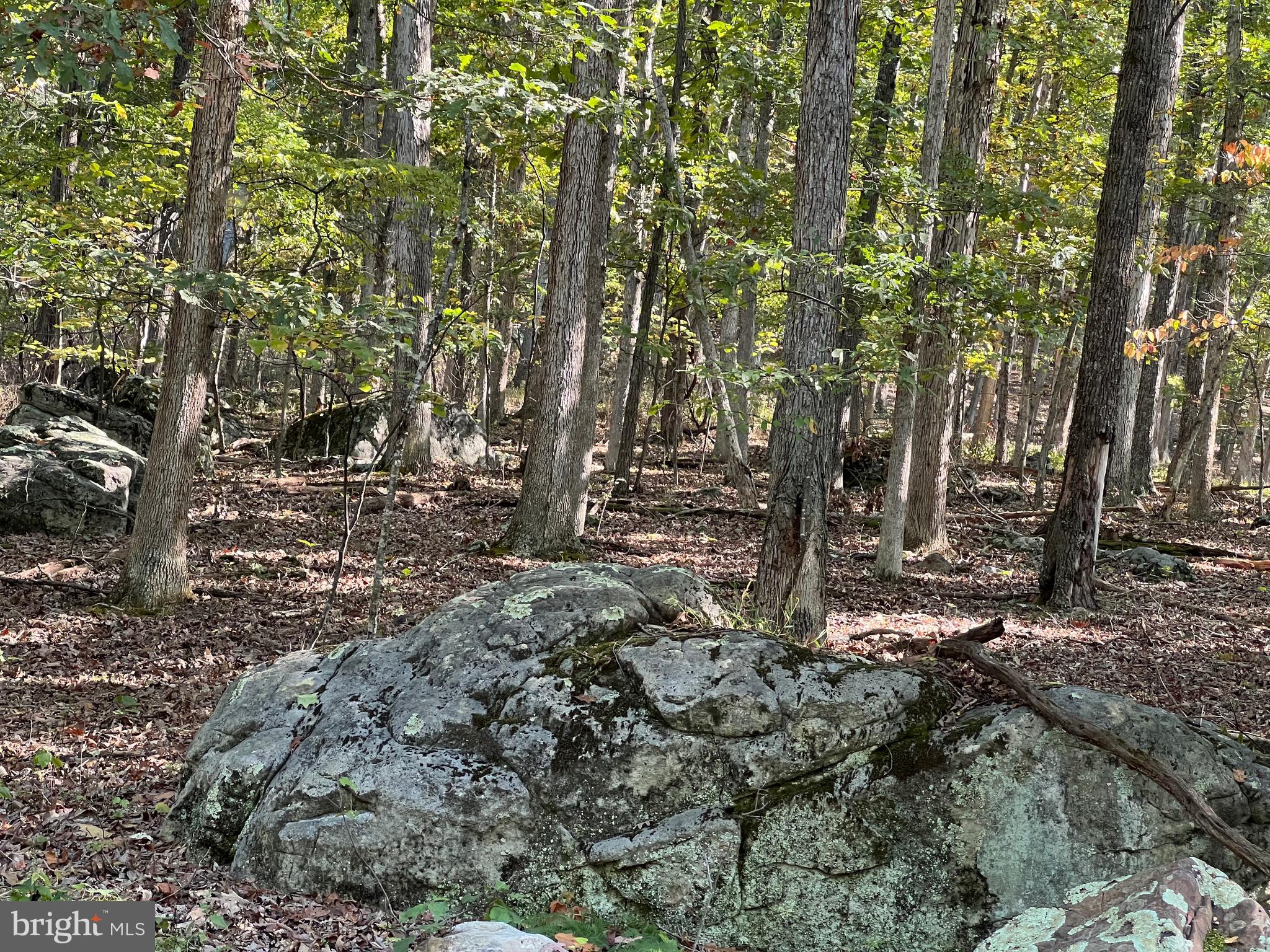 OLD FIELDS OWNERS ASSOCIATION - Residential