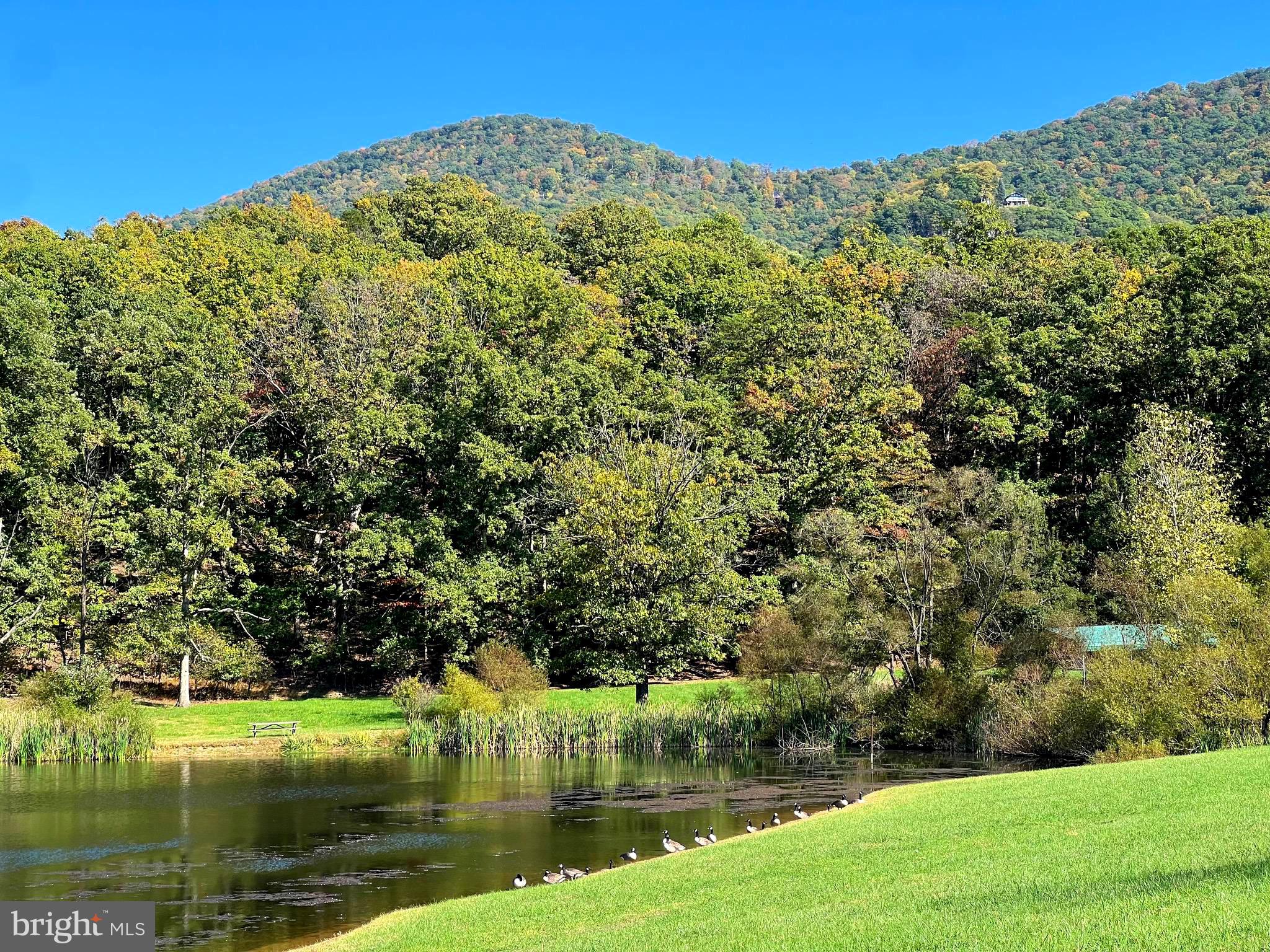 OLD FIELDS OWNERS ASSOCIATION - Residential