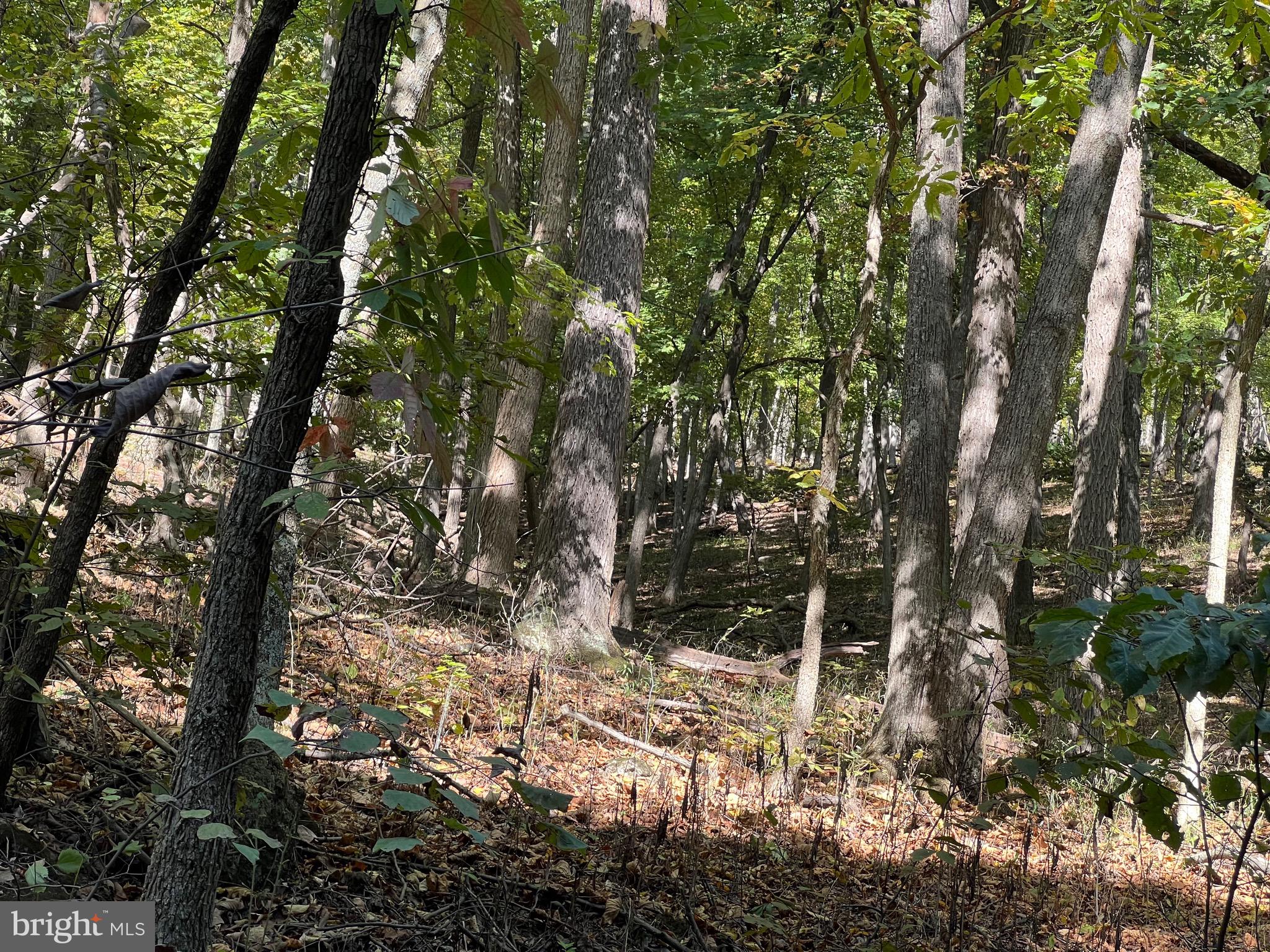 OLD FIELDS OWNERS ASSOCIATION - Residential