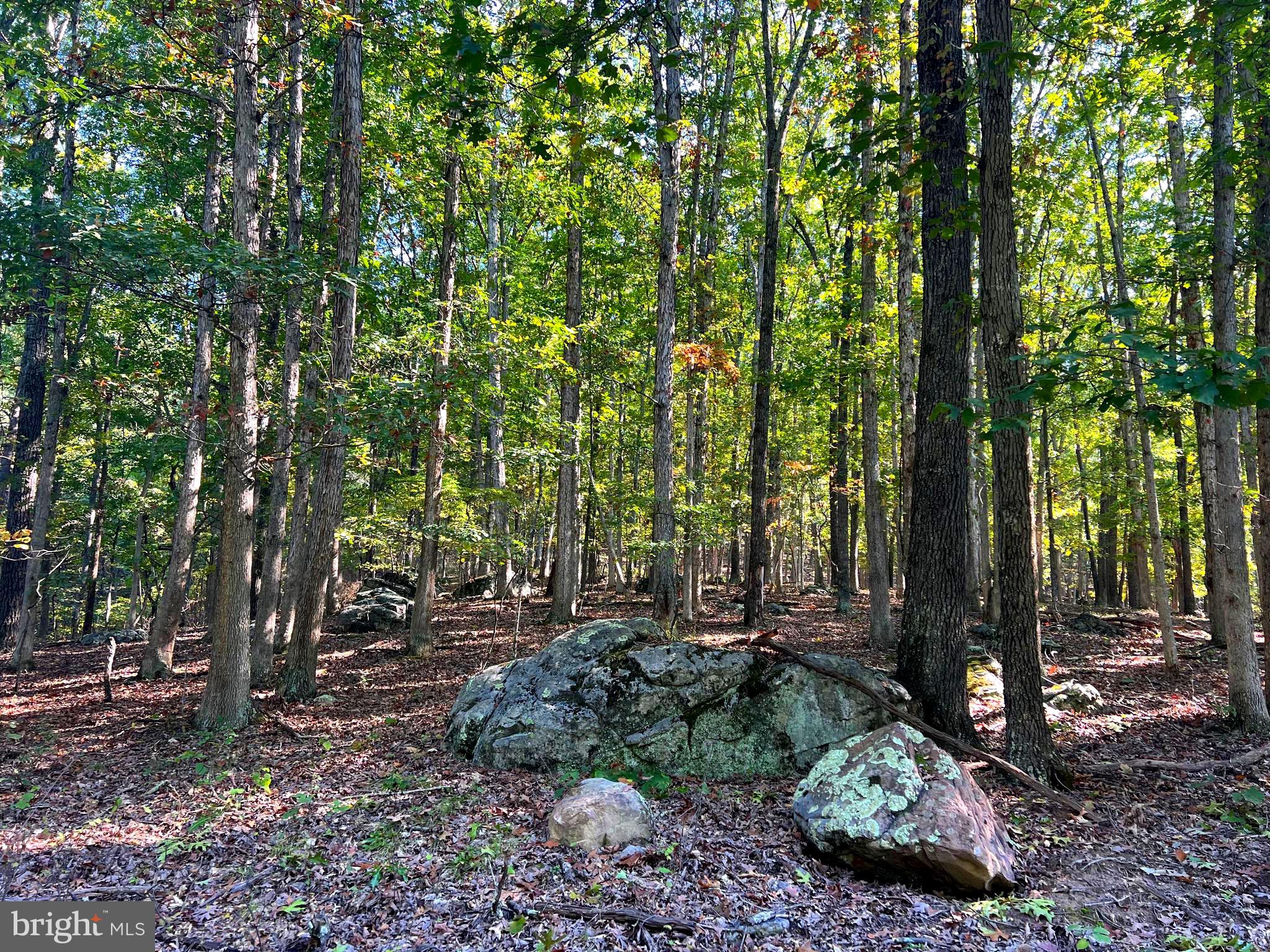 OLD FIELDS OWNERS ASSOCIATION - Residential