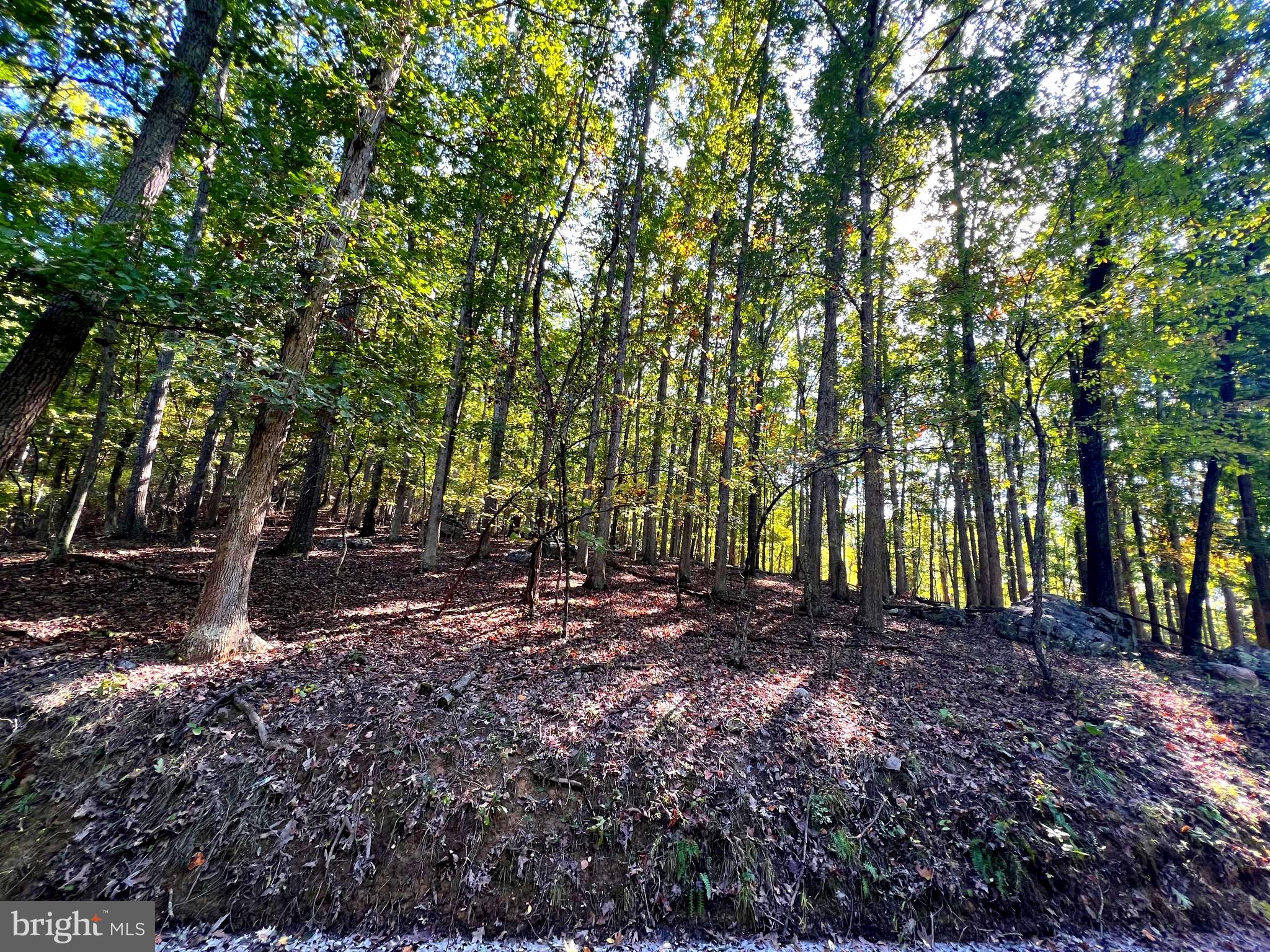 OLD FIELDS OWNERS ASSOCIATION - Residential