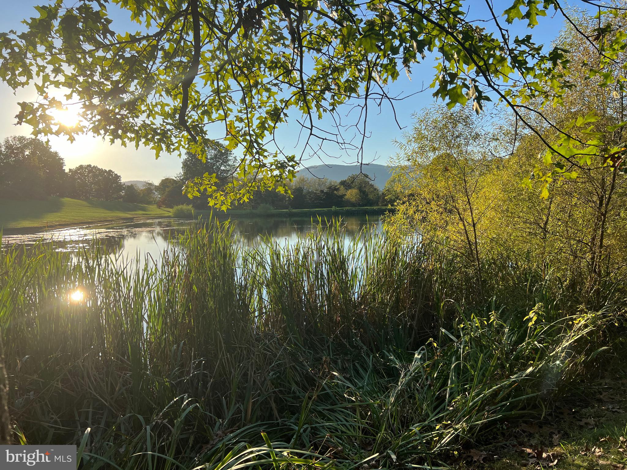 OLD FIELDS OWNERS ASSOCIATION - Residential