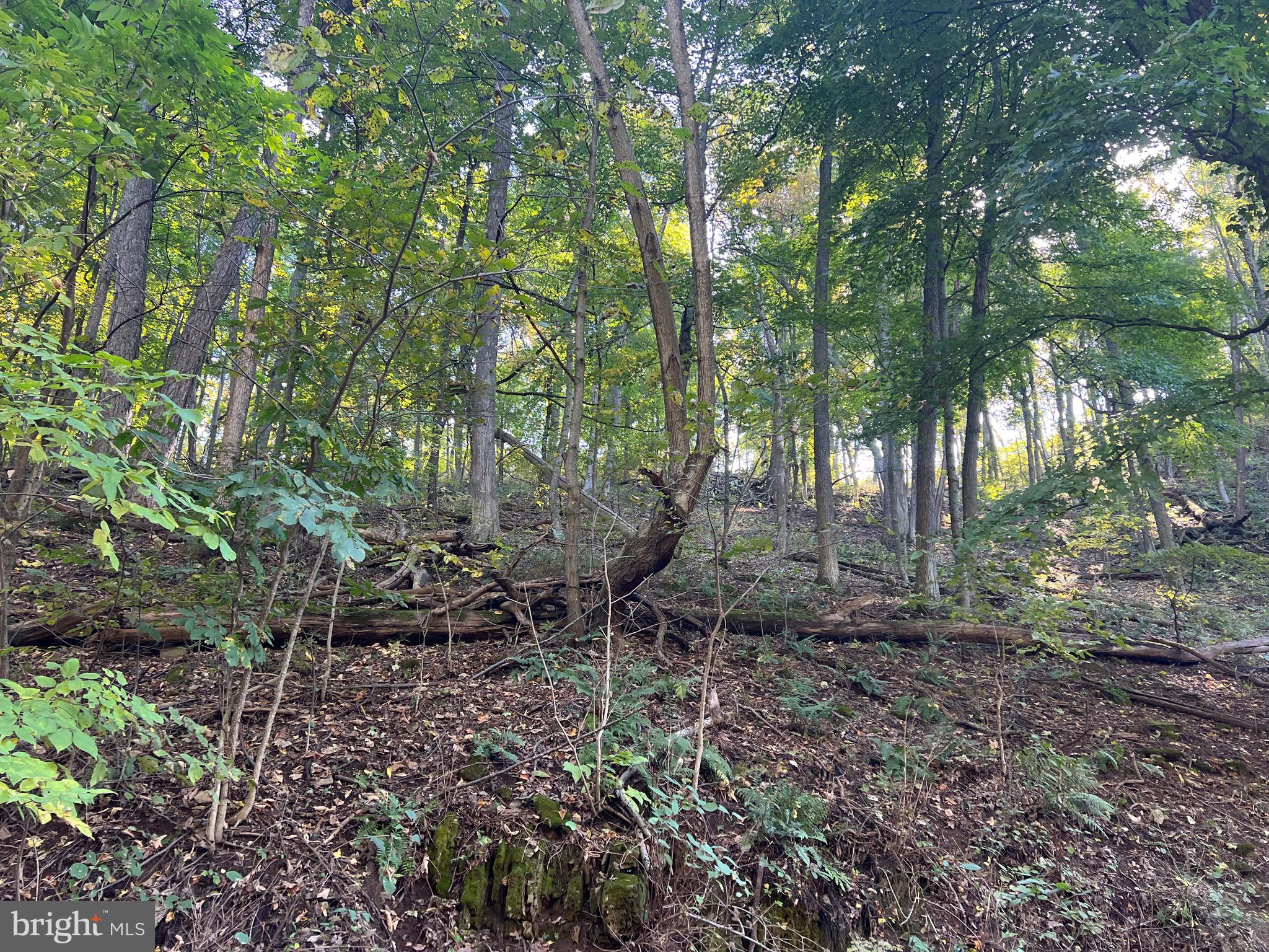 OLD FIELDS OWNERS ASSOCIATION - Residential