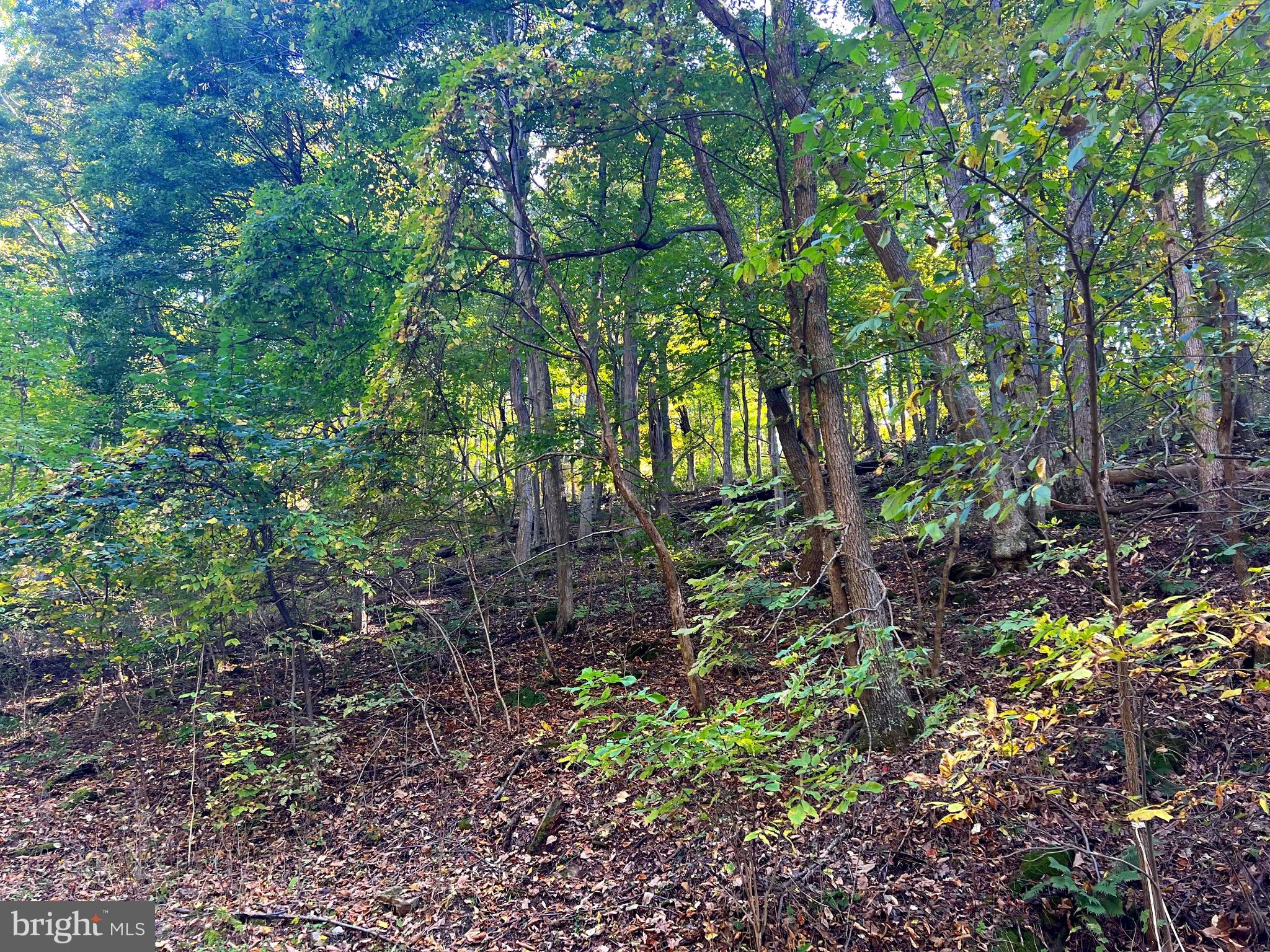 OLD FIELDS OWNERS ASSOCIATION - Residential