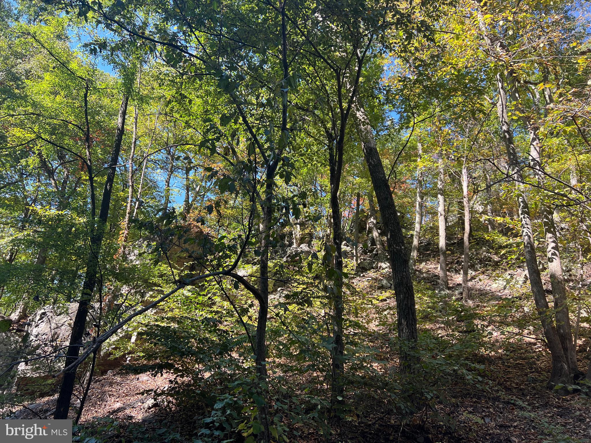 OLD FIELDS OWNERS ASSOCIATION - Residential