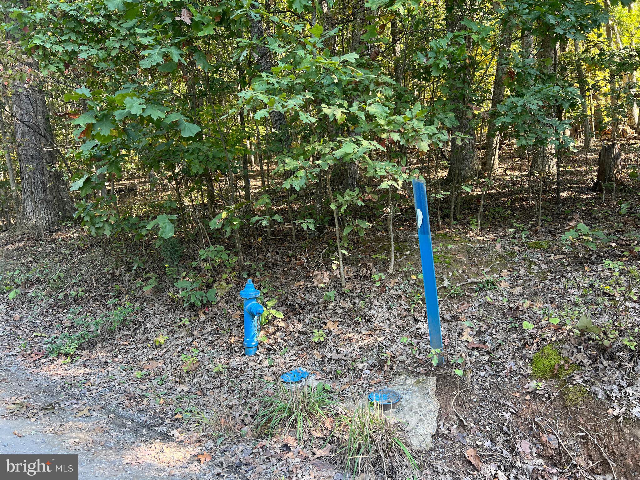 OLD FIELDS OWNERS ASSOCIATION - Residential