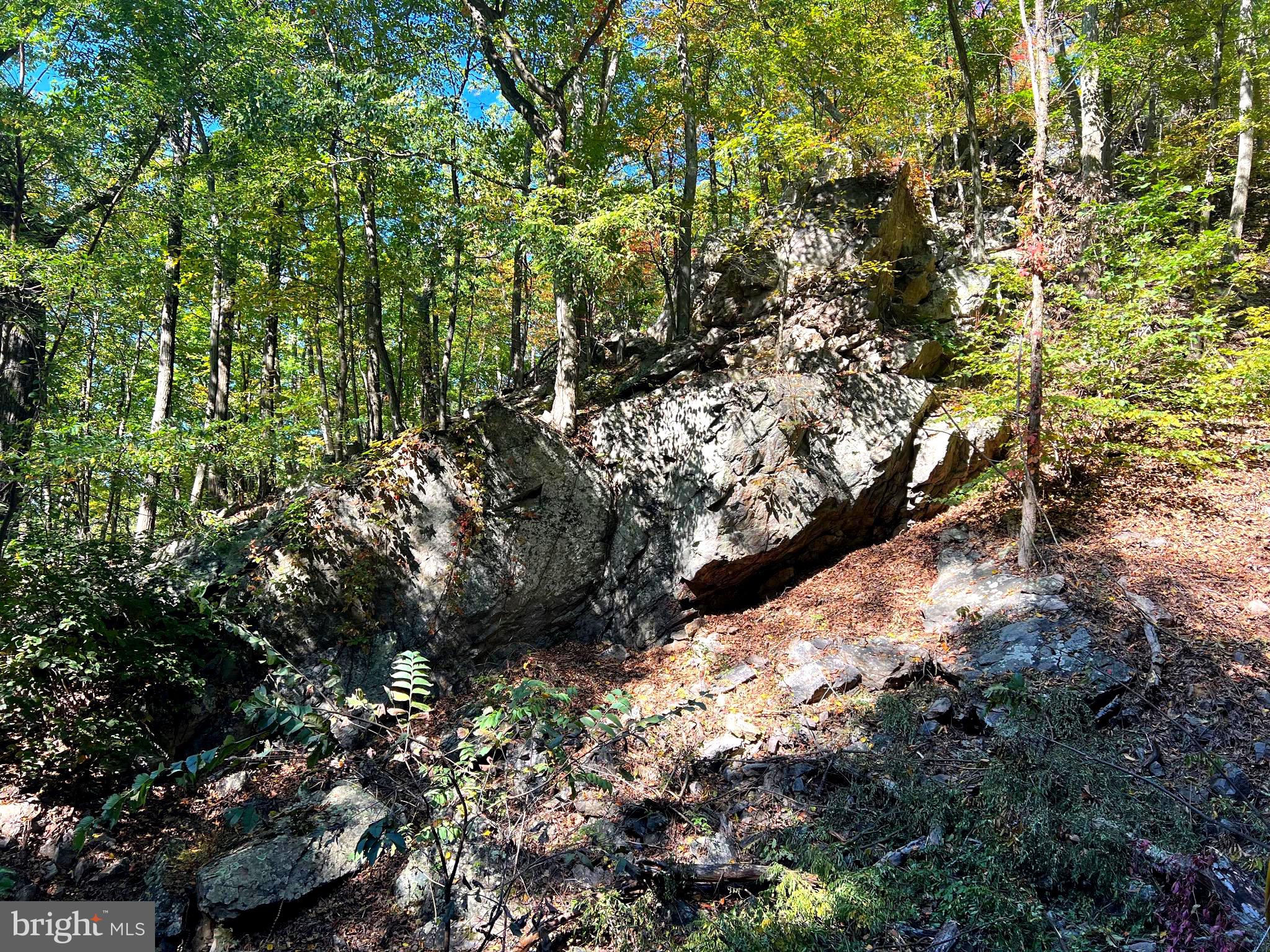 OLD FIELDS OWNERS ASSOCIATION - Residential