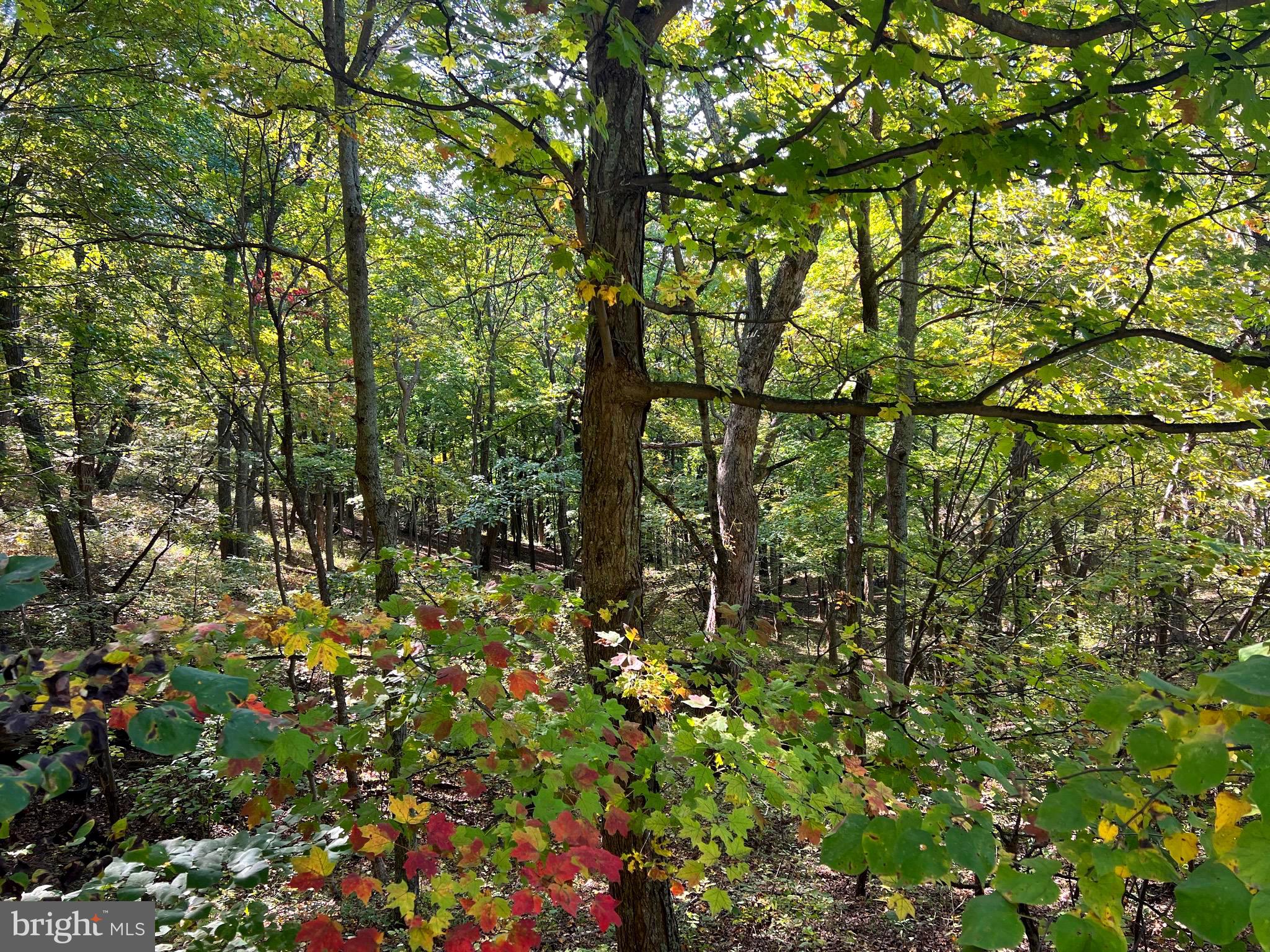 OLD FIELDS OWNERS ASSOCIATION - Residential