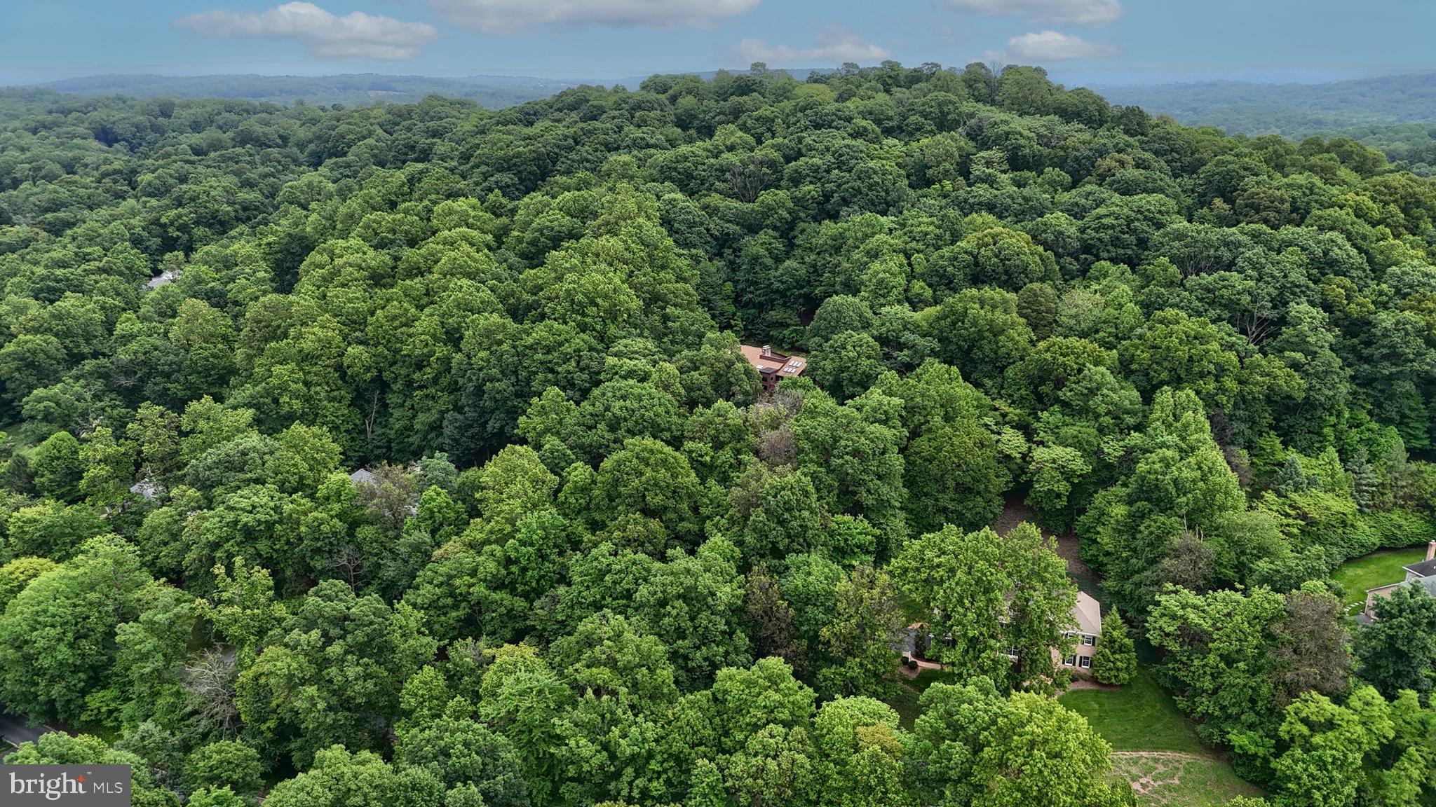 WALTON SPRING HILLS - Residential