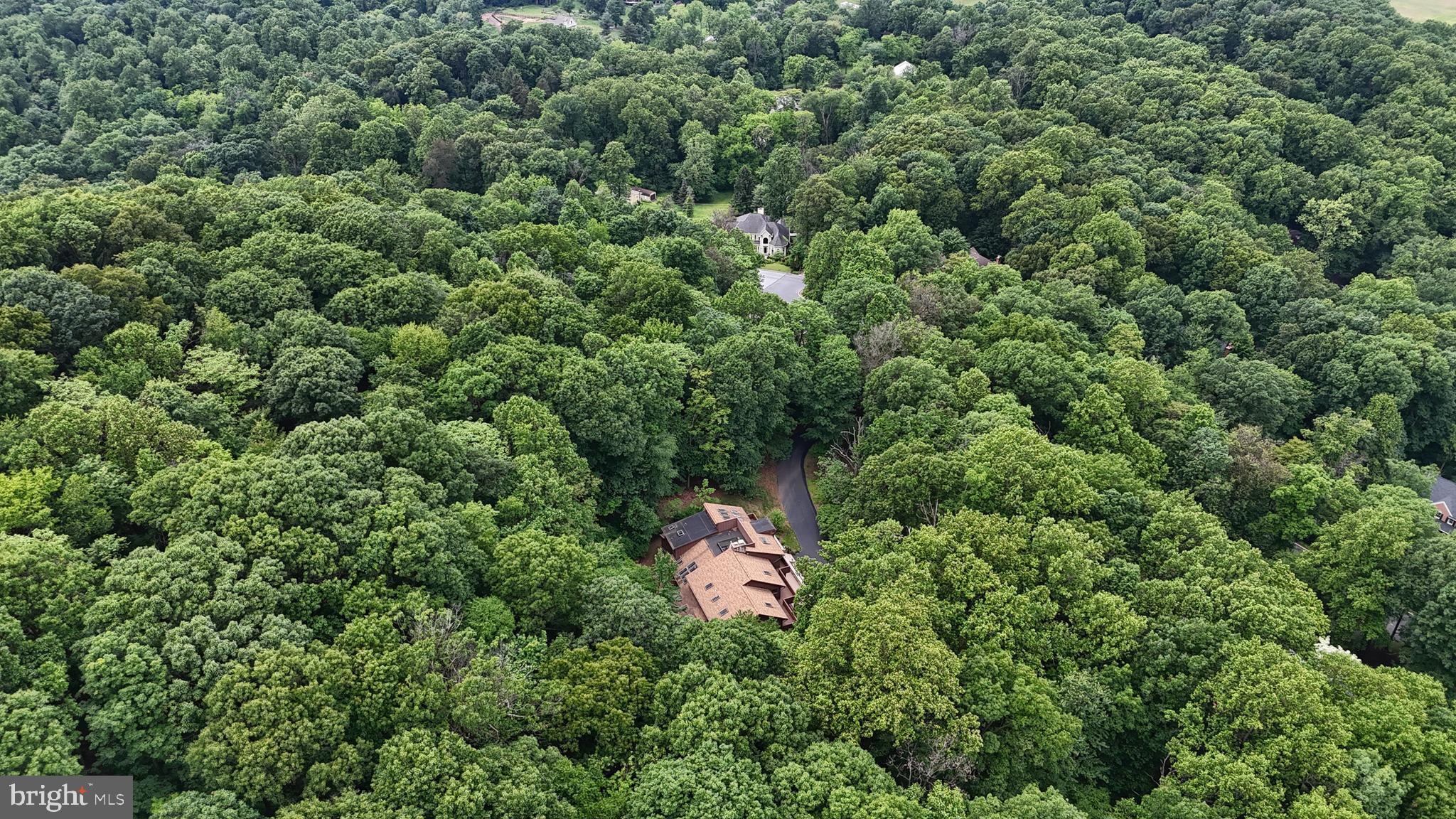 WALTON SPRING HILLS - Residential