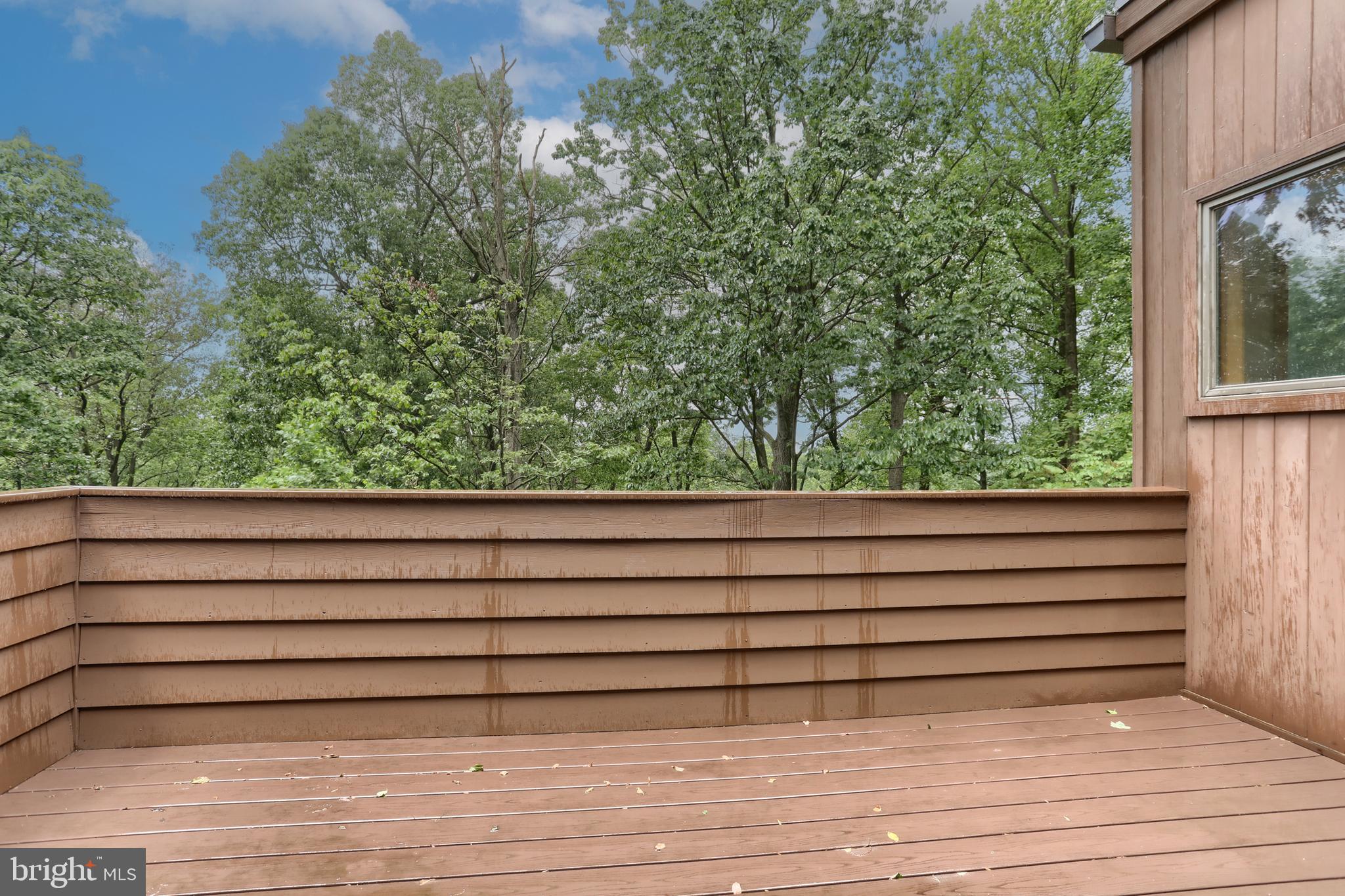 WALTON SPRING HILLS - Residential