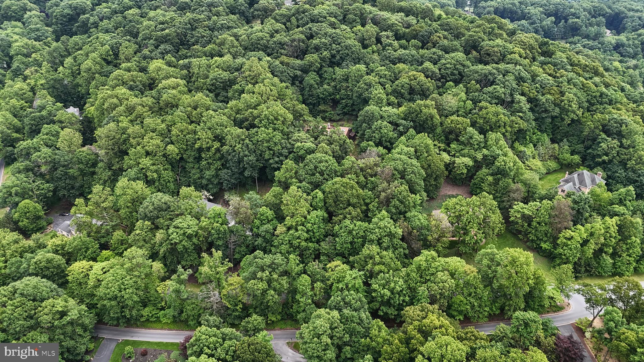 WALTON SPRING HILLS - Residential