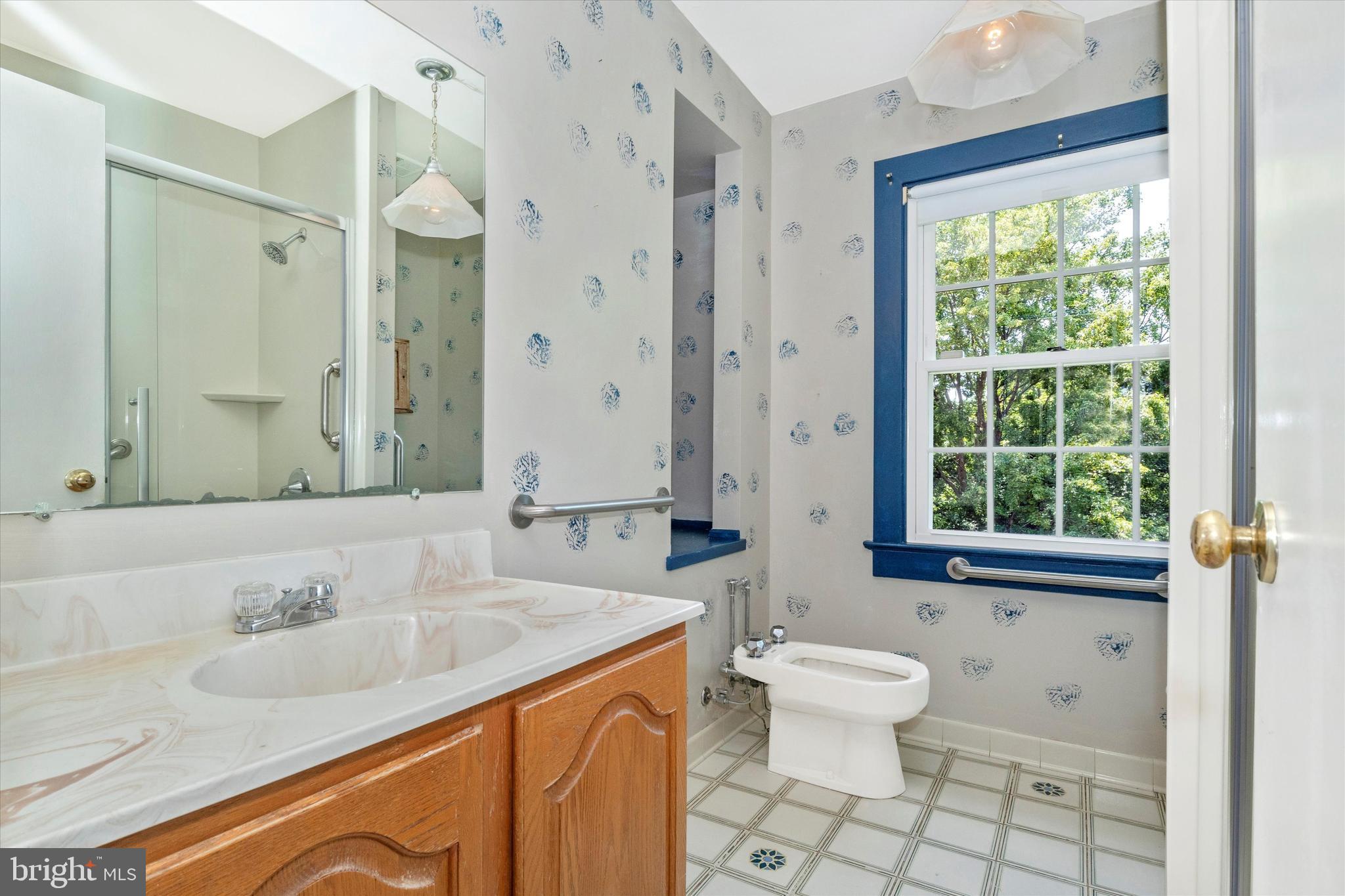 CHEVY CHASE VILLAGE - Residential