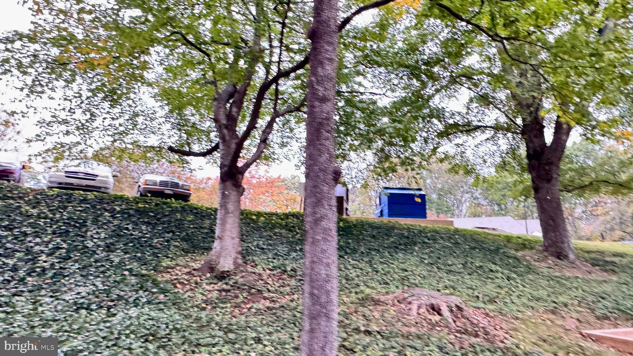 BURKE COVE - Residential Lease